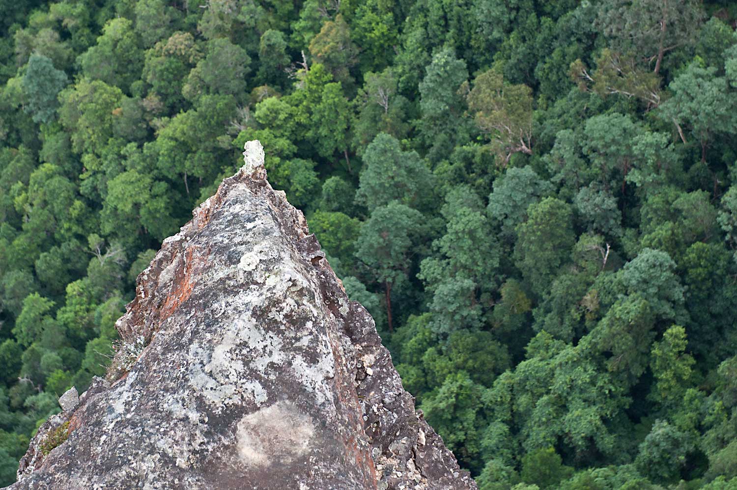 Warren-Hinder-LR-Out-crop-over-Pulpit-Rock.jpg