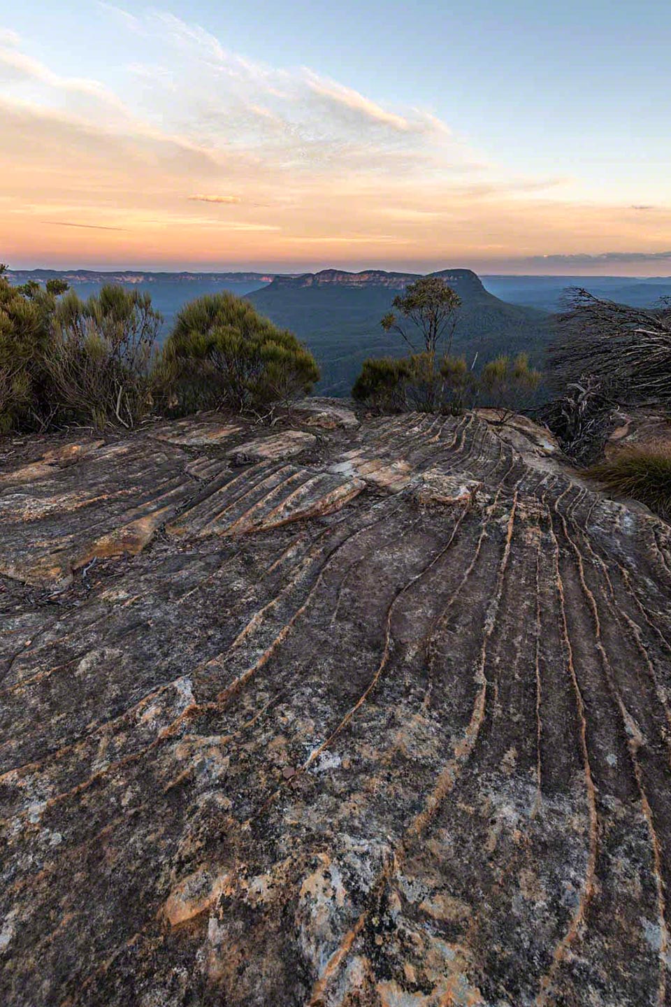 Landslide-Lookout-lo-res.jpg