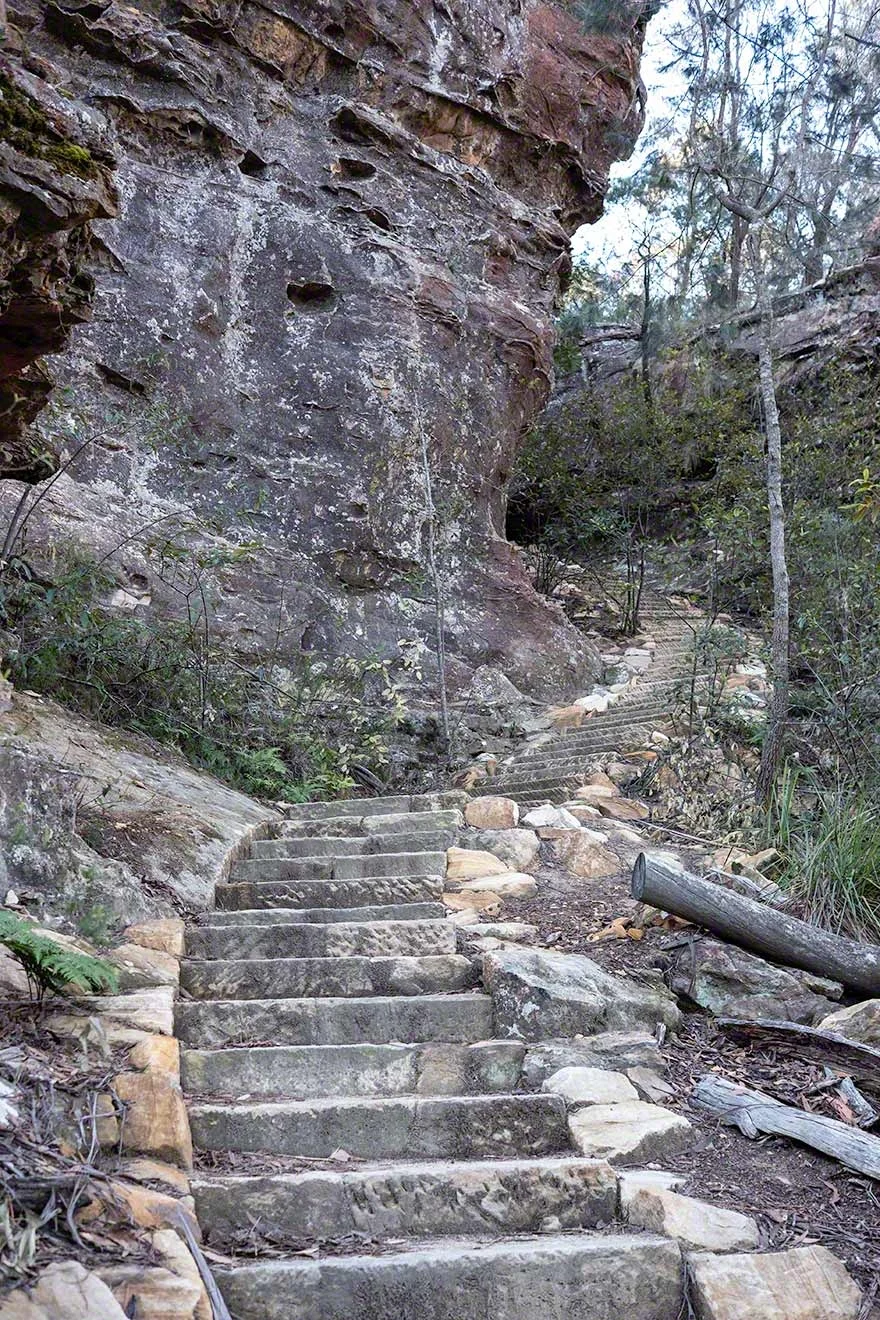 Blackheath Walks — Blue Mountains Walks