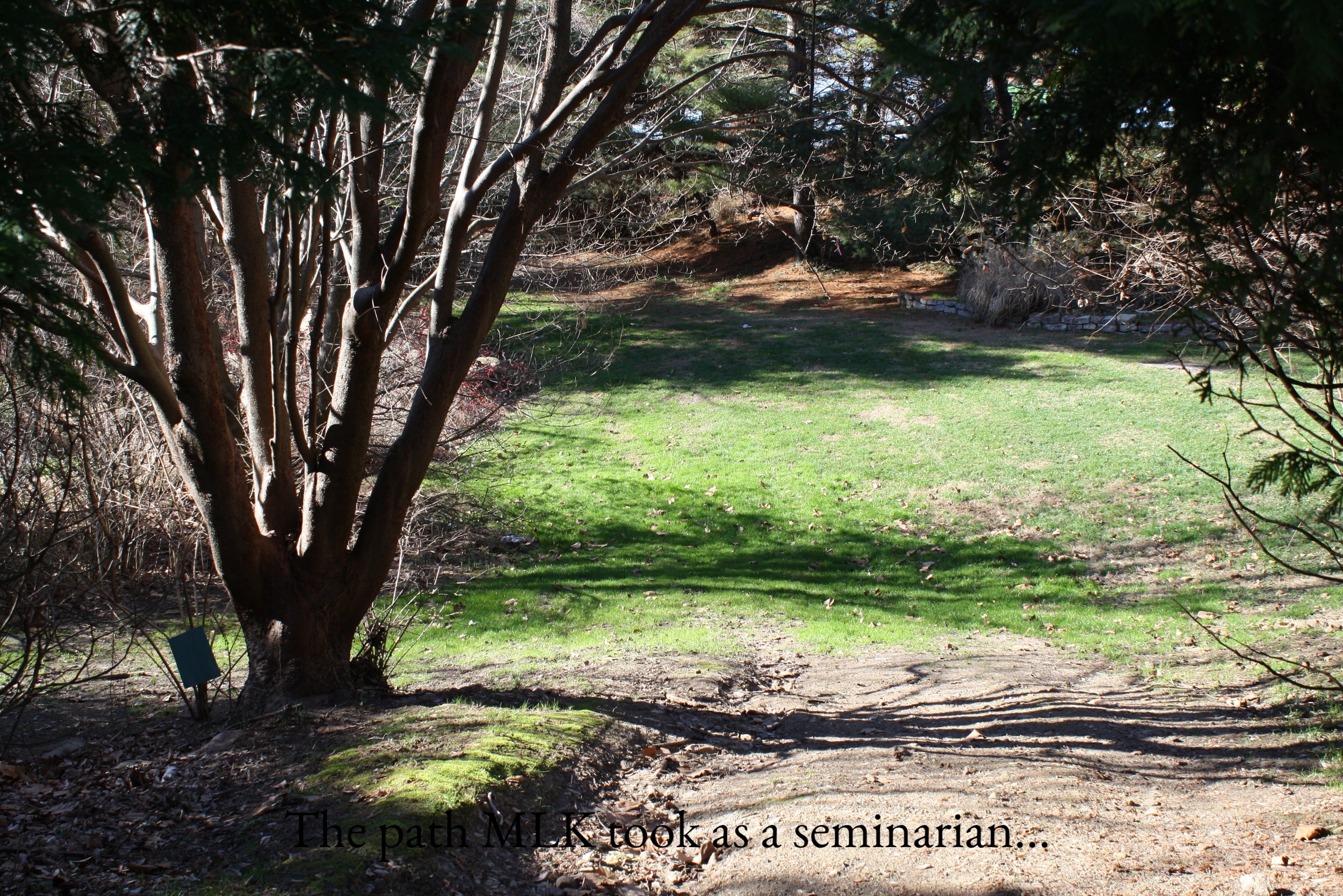 09. Ship Creek Woods. The path ML took to get to a tributary near the Delaware River. Called Ship Creek Woods. Photo taken by the author..JPG