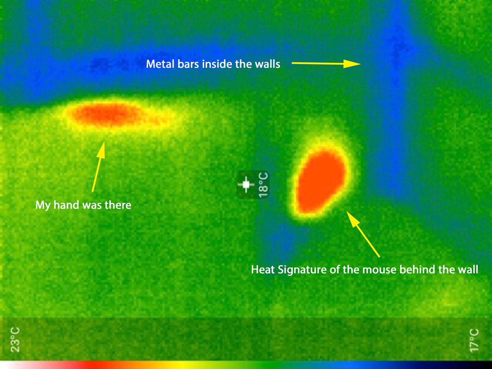 Mouse-in-infrared.png