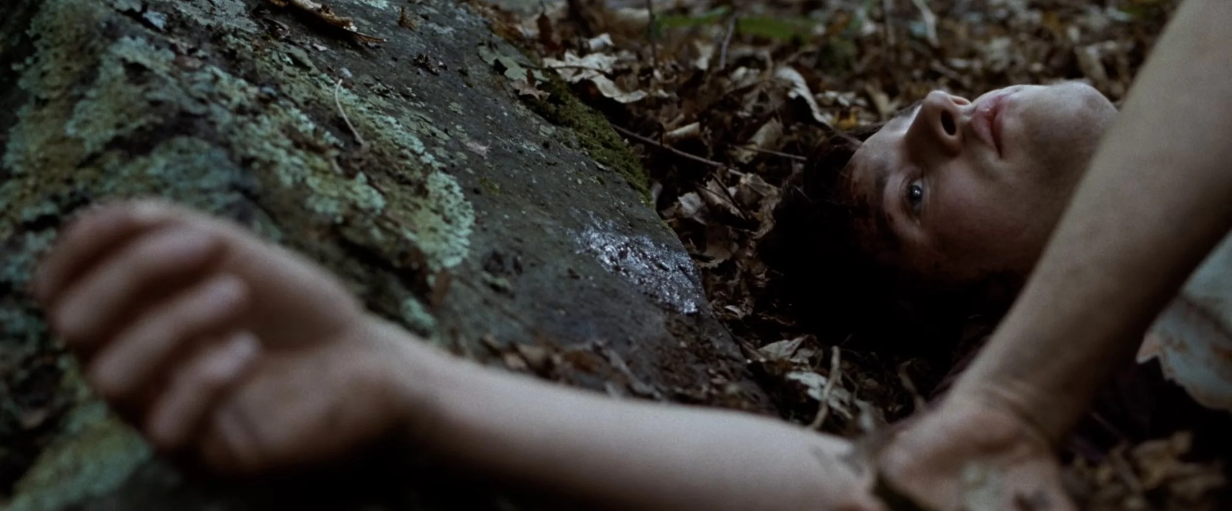 Screenshot 2025-05-09 at 9.03.23 AM.jpeg