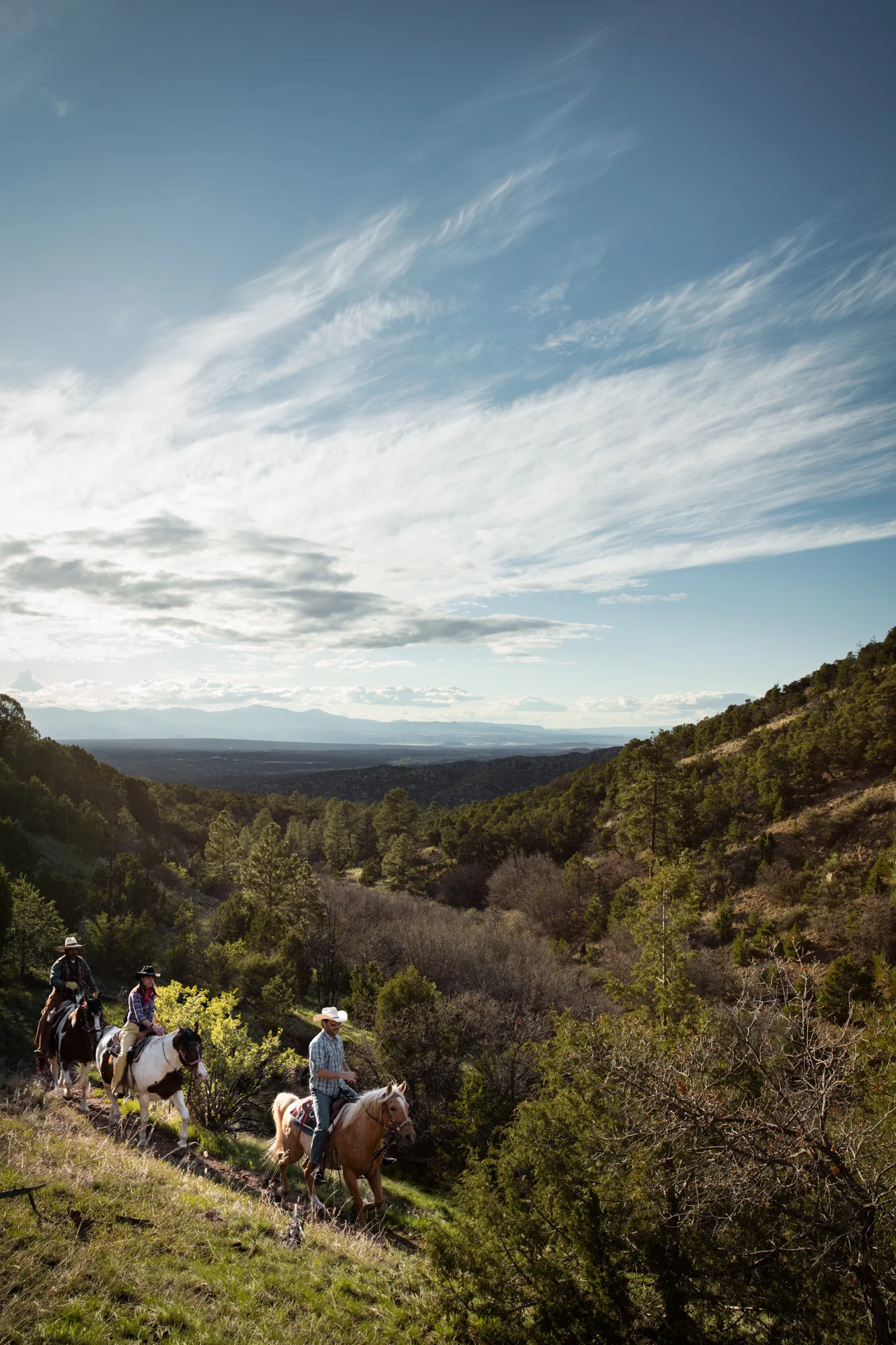 SFCT_SPRING2016-849-Edit.jpg
