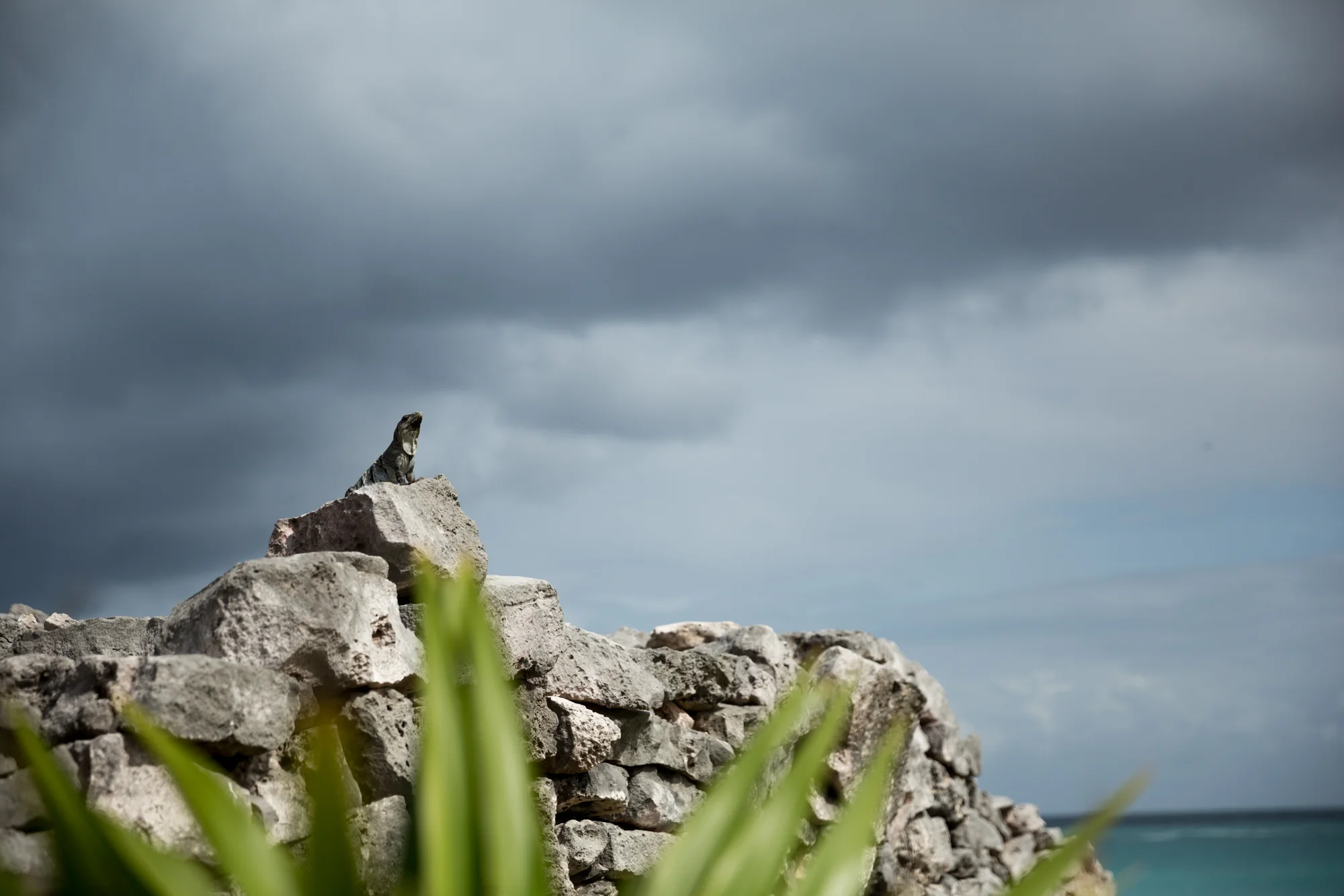 TULUM2016-238.jpg