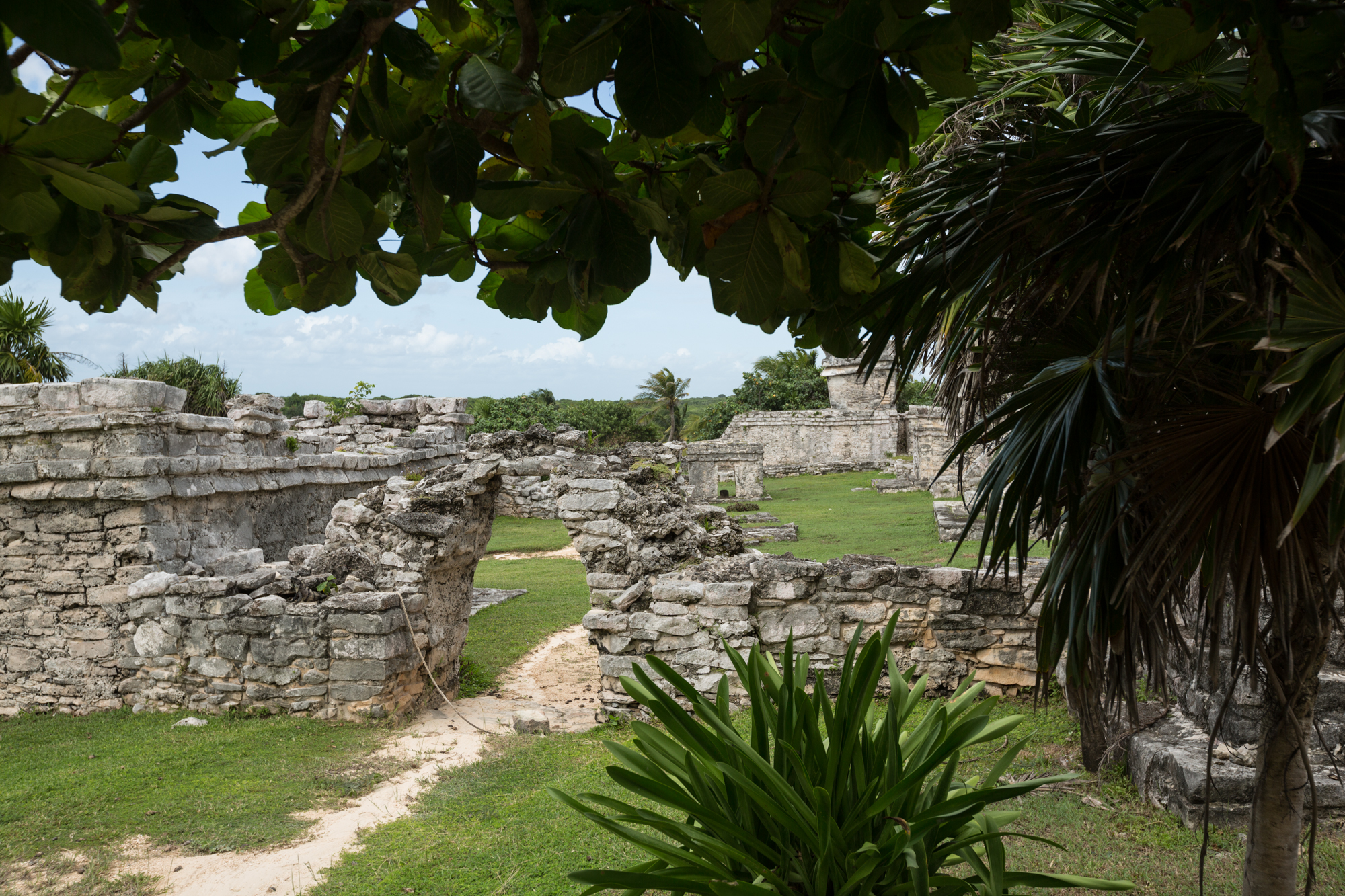 TULUM2016-273.jpg