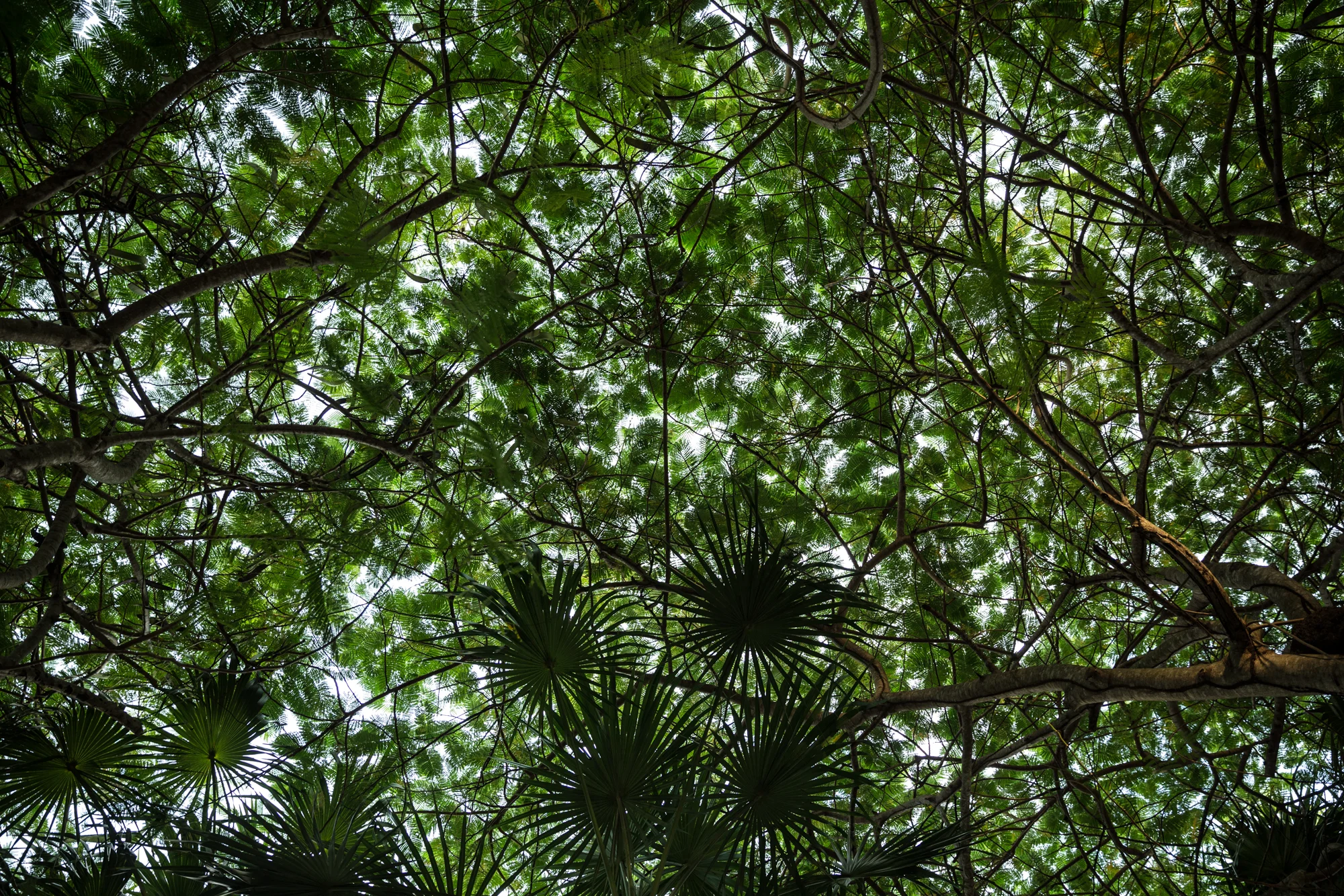 TULUM2016-470.jpg
