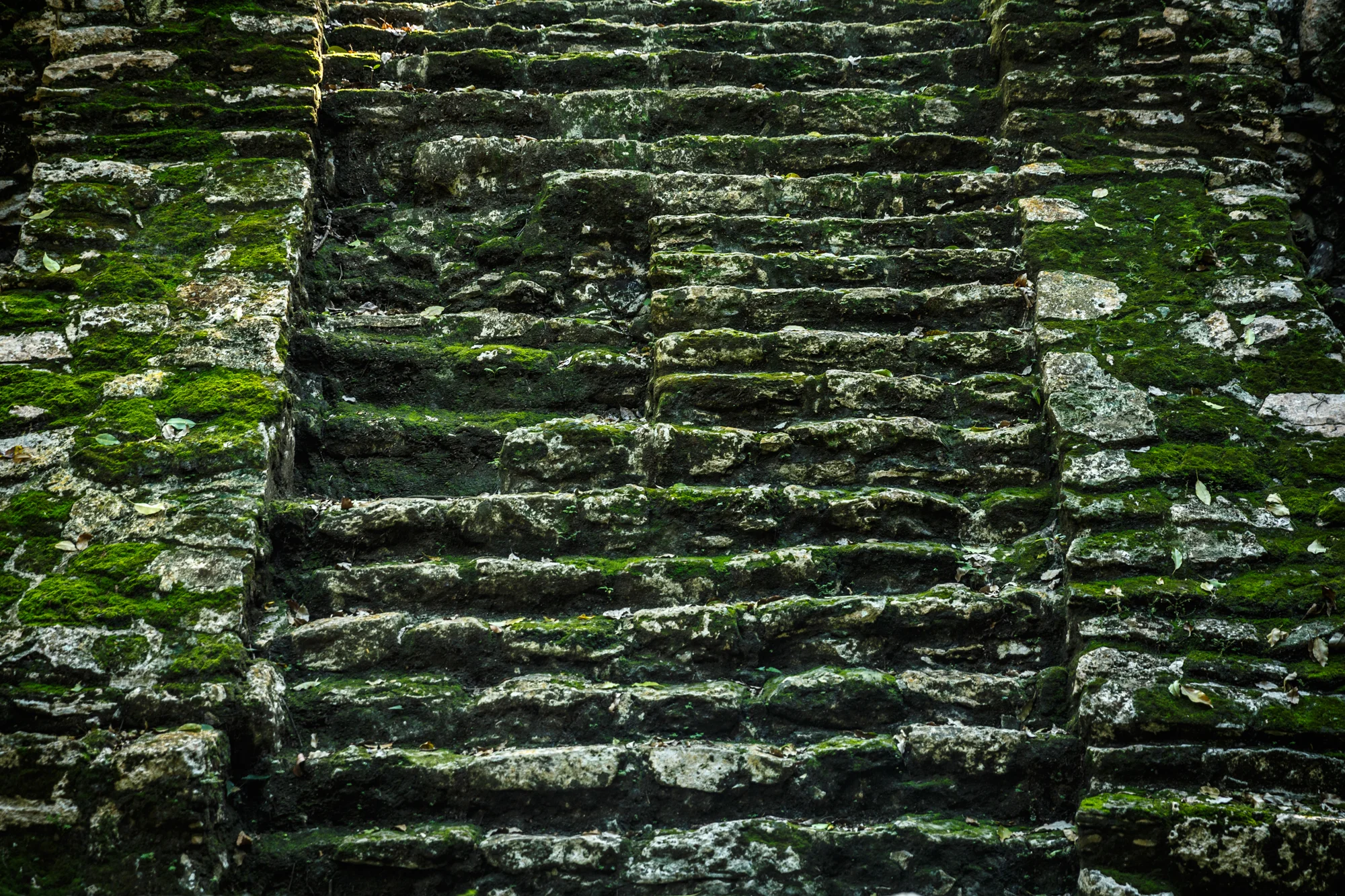 TULUM2016-775.jpg