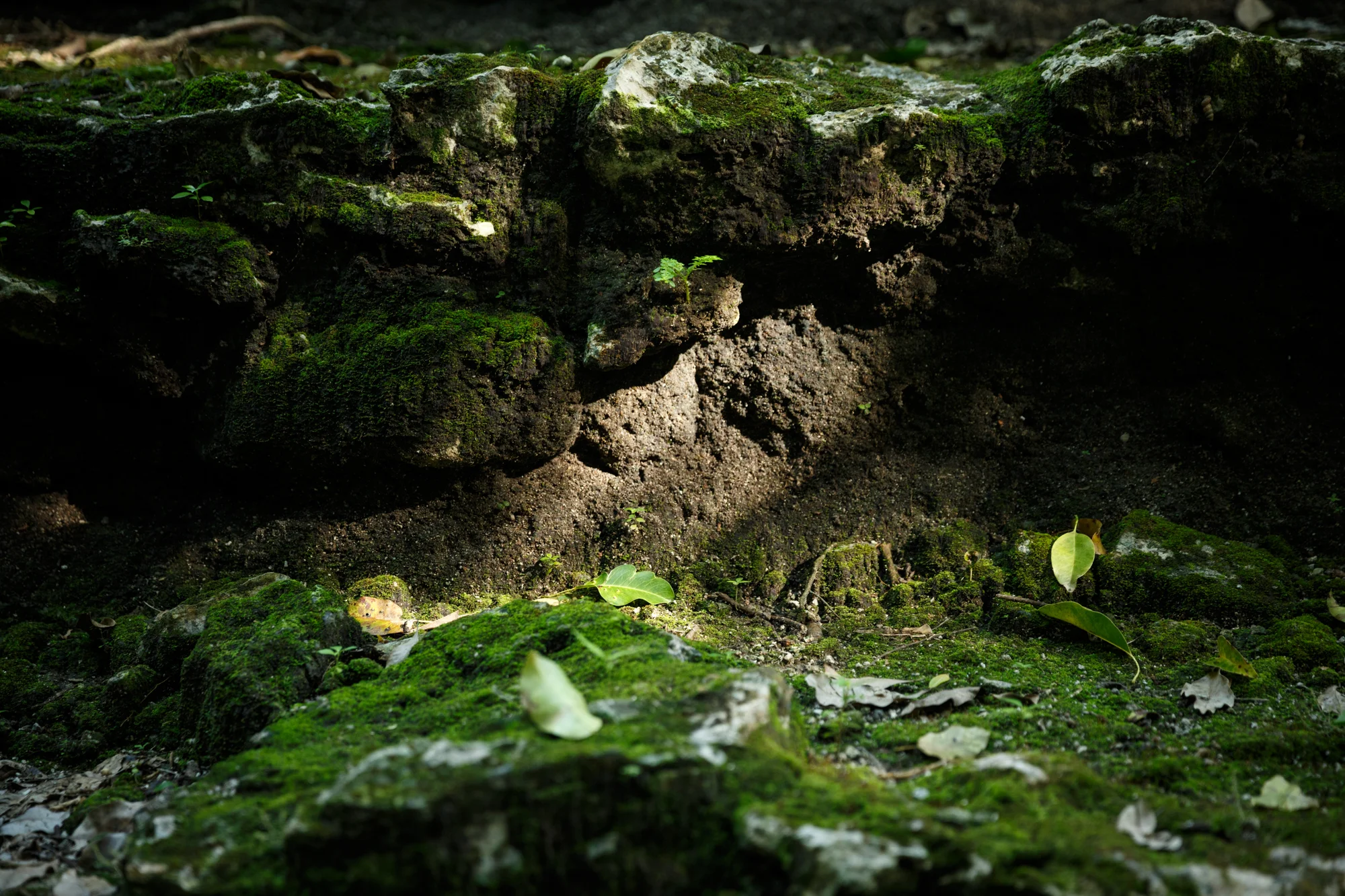 TULUM2016-782.jpg