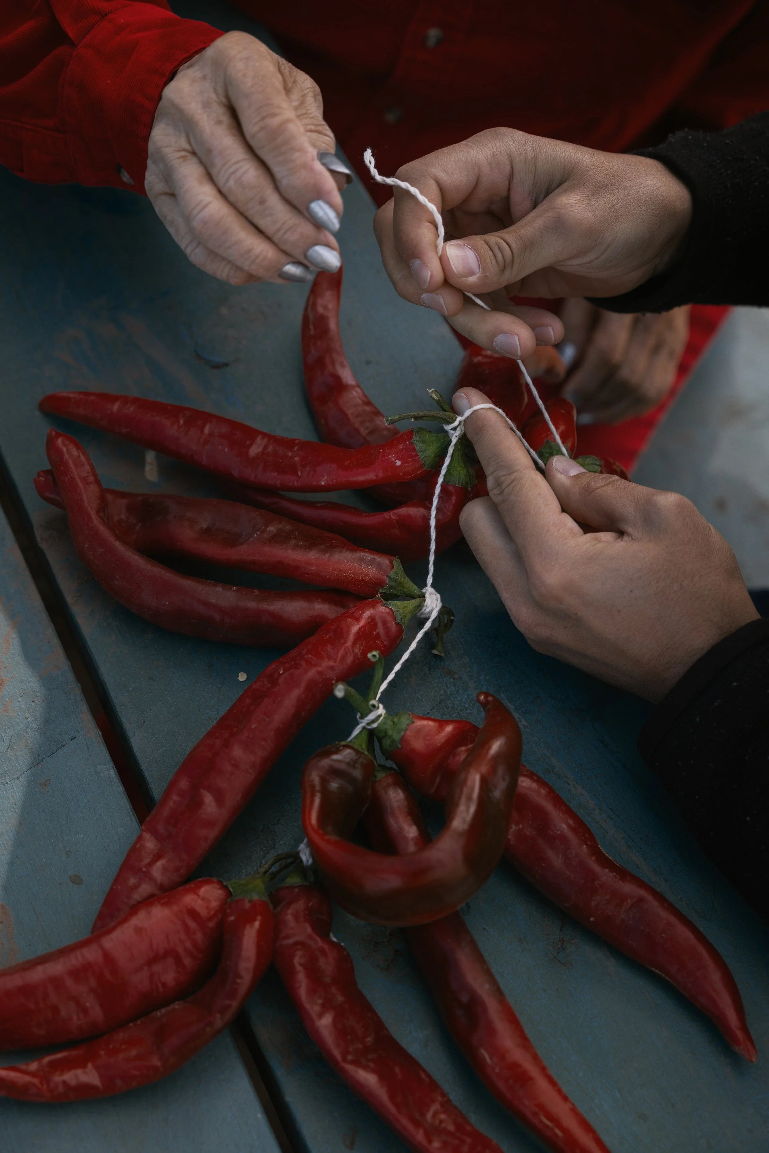 NMTD_FY24_ABQ_CHILE-200.jpg