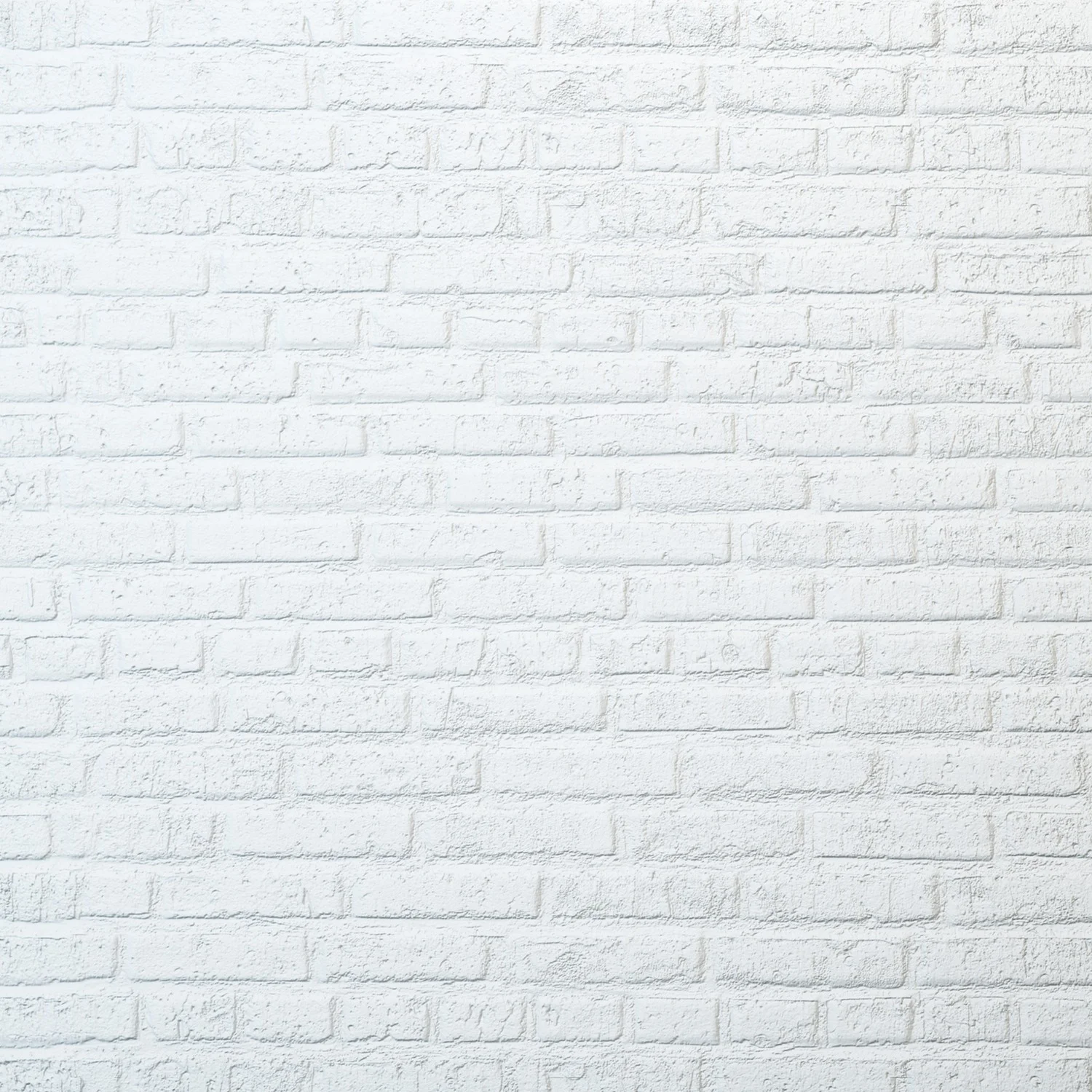 School of Supernatural Life