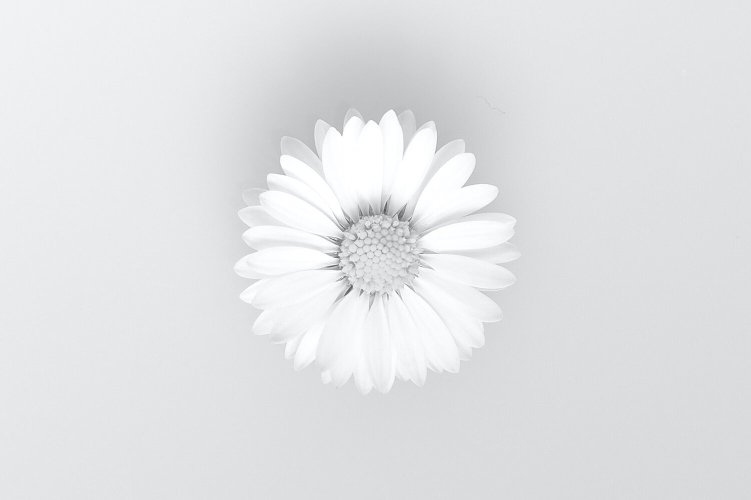 241: The Kindness of God