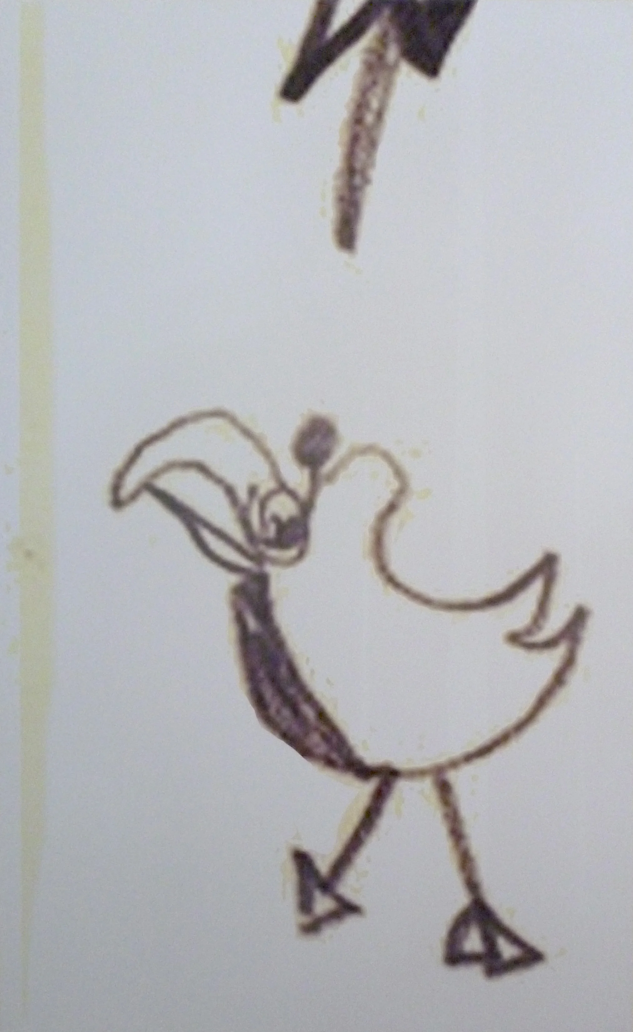 wendybird.jpg