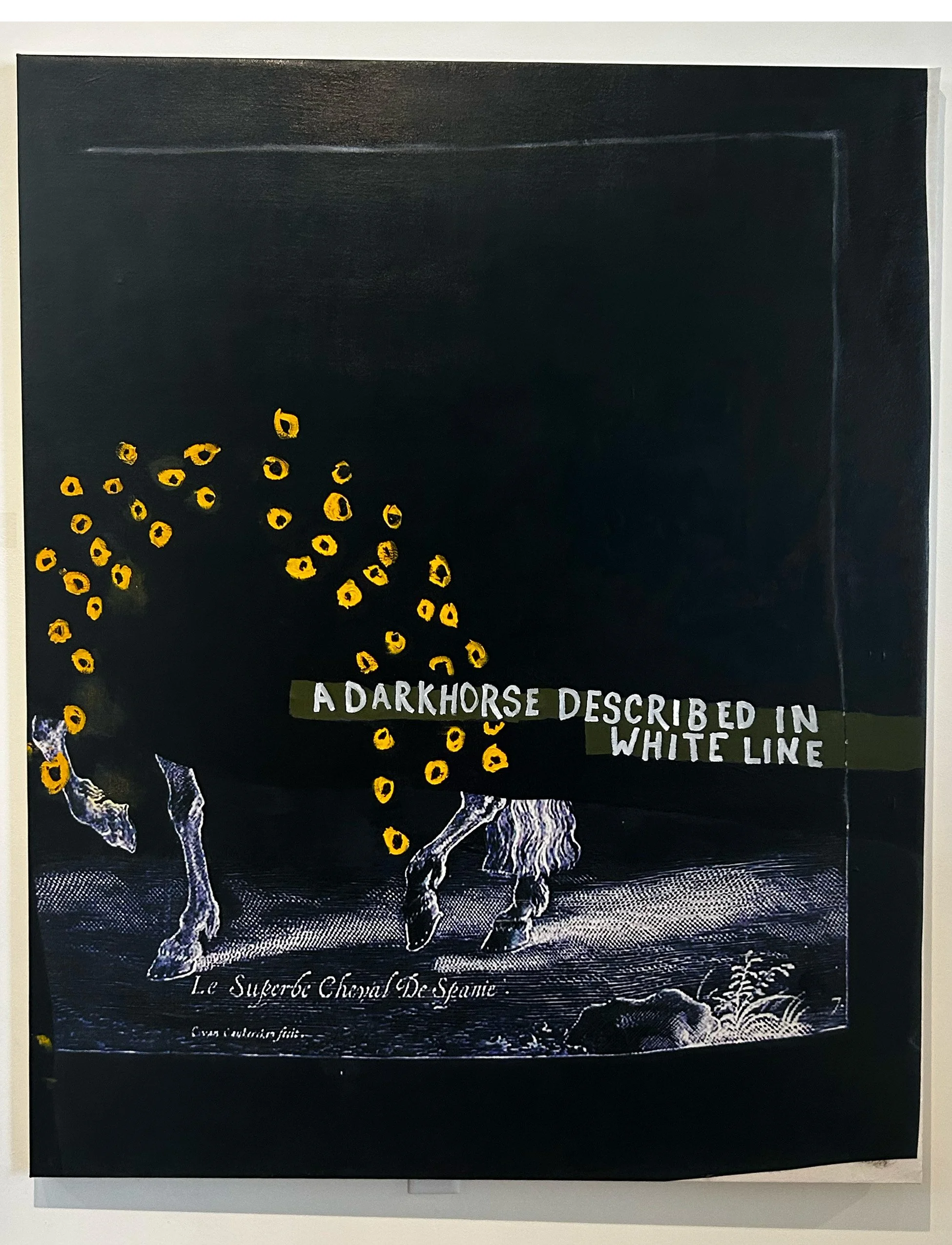 darkhorse.jpg