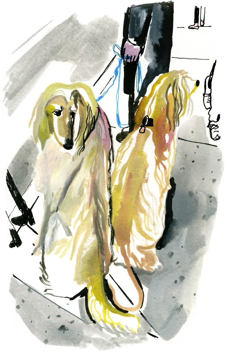 Sketchbook Check out the sketchbook tumblr!