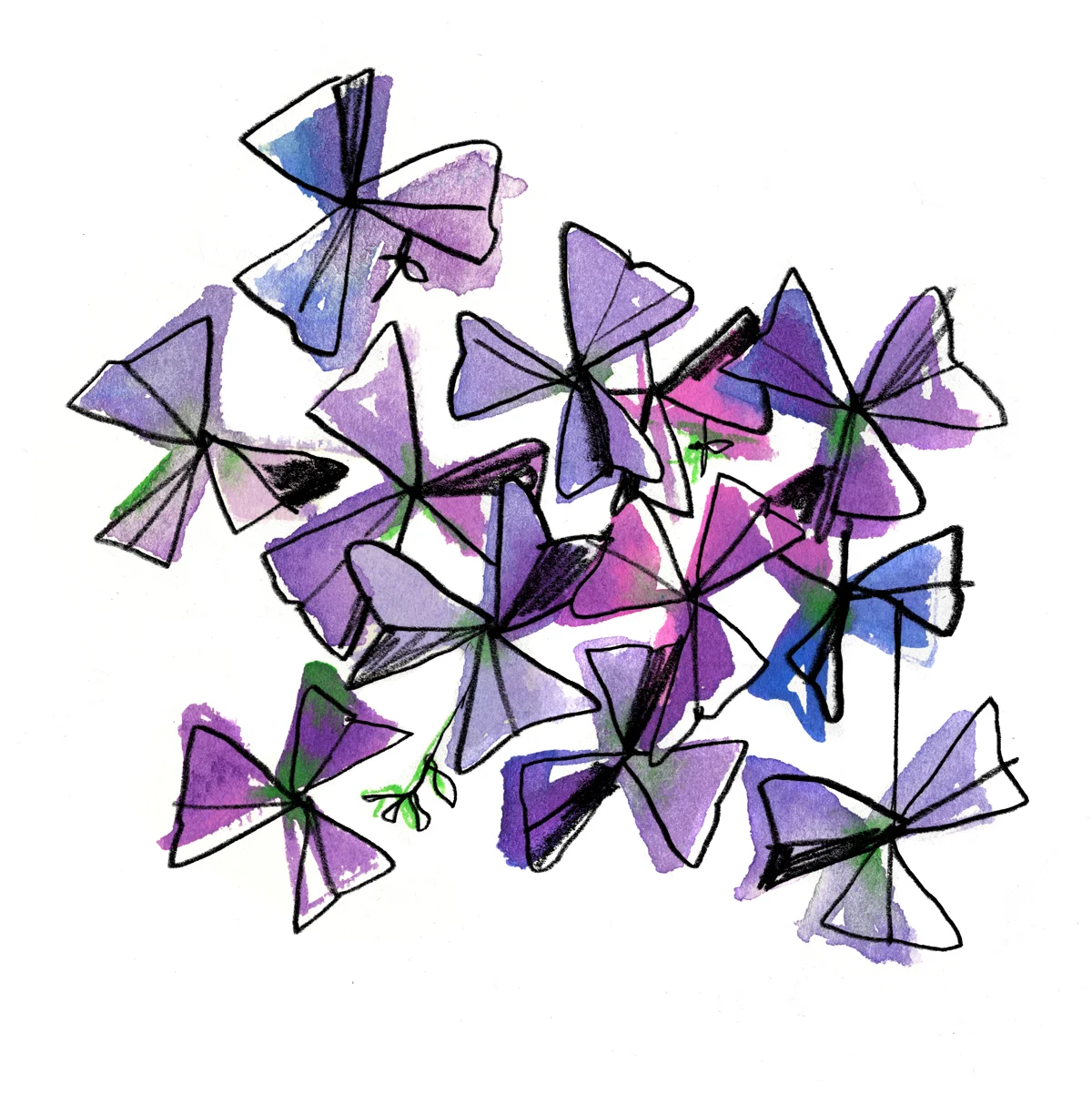 Triangularis