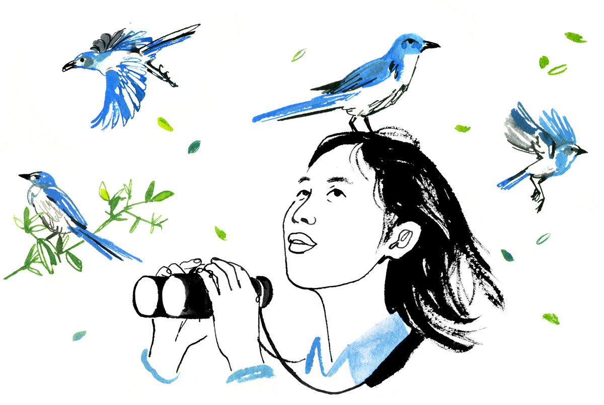 Why Nancy Chen Is Mapping the Family Tree of Florida Scrub-Jays