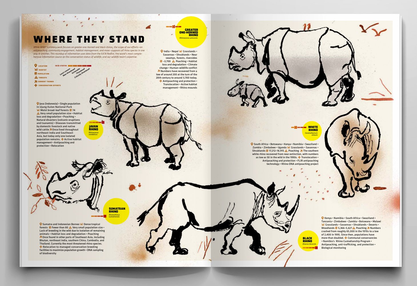 Rhino Species