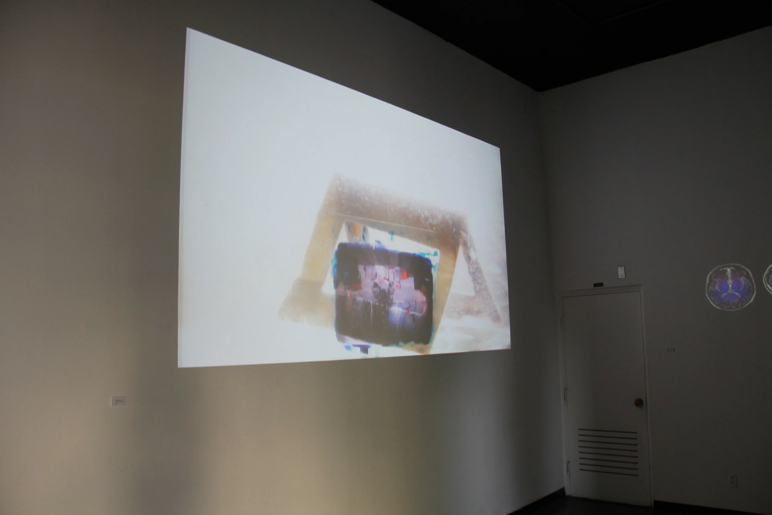 Decay Theory - Installation Image 1 of 3