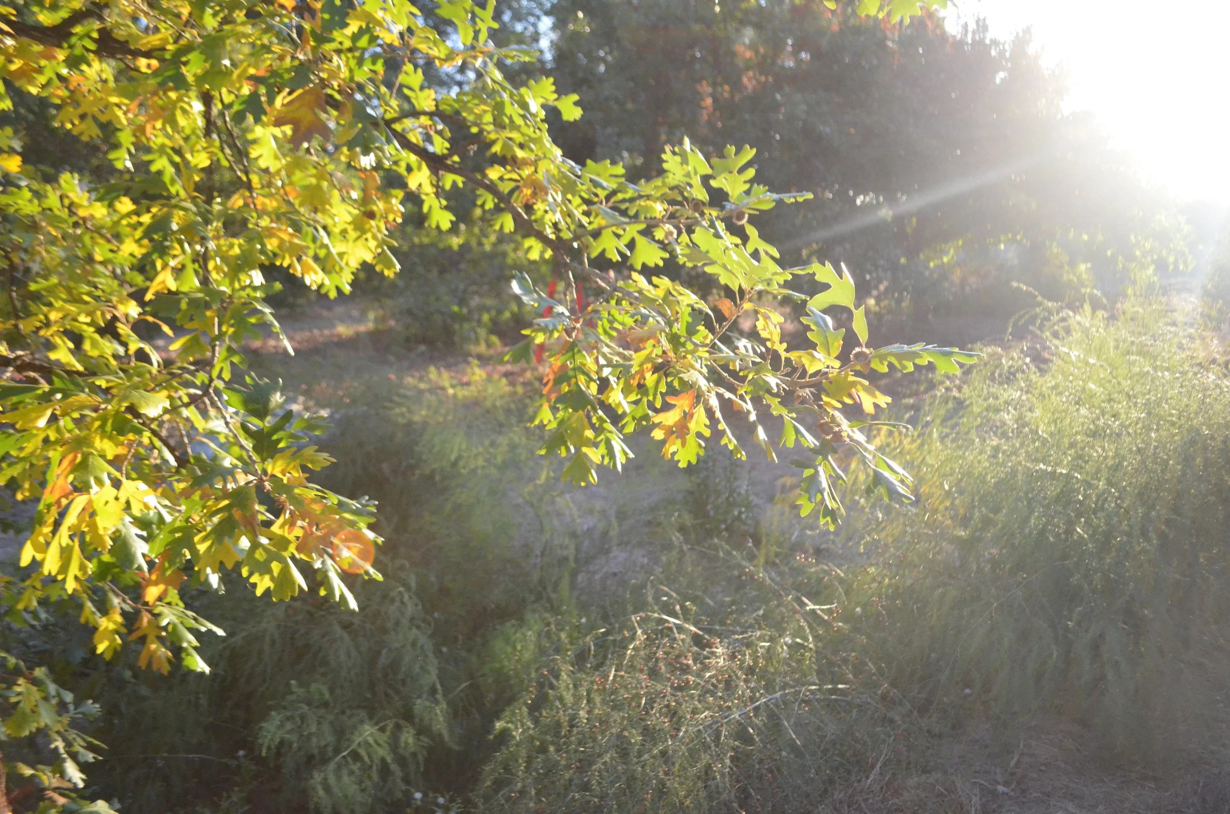 Why I am No Longer A Doula 