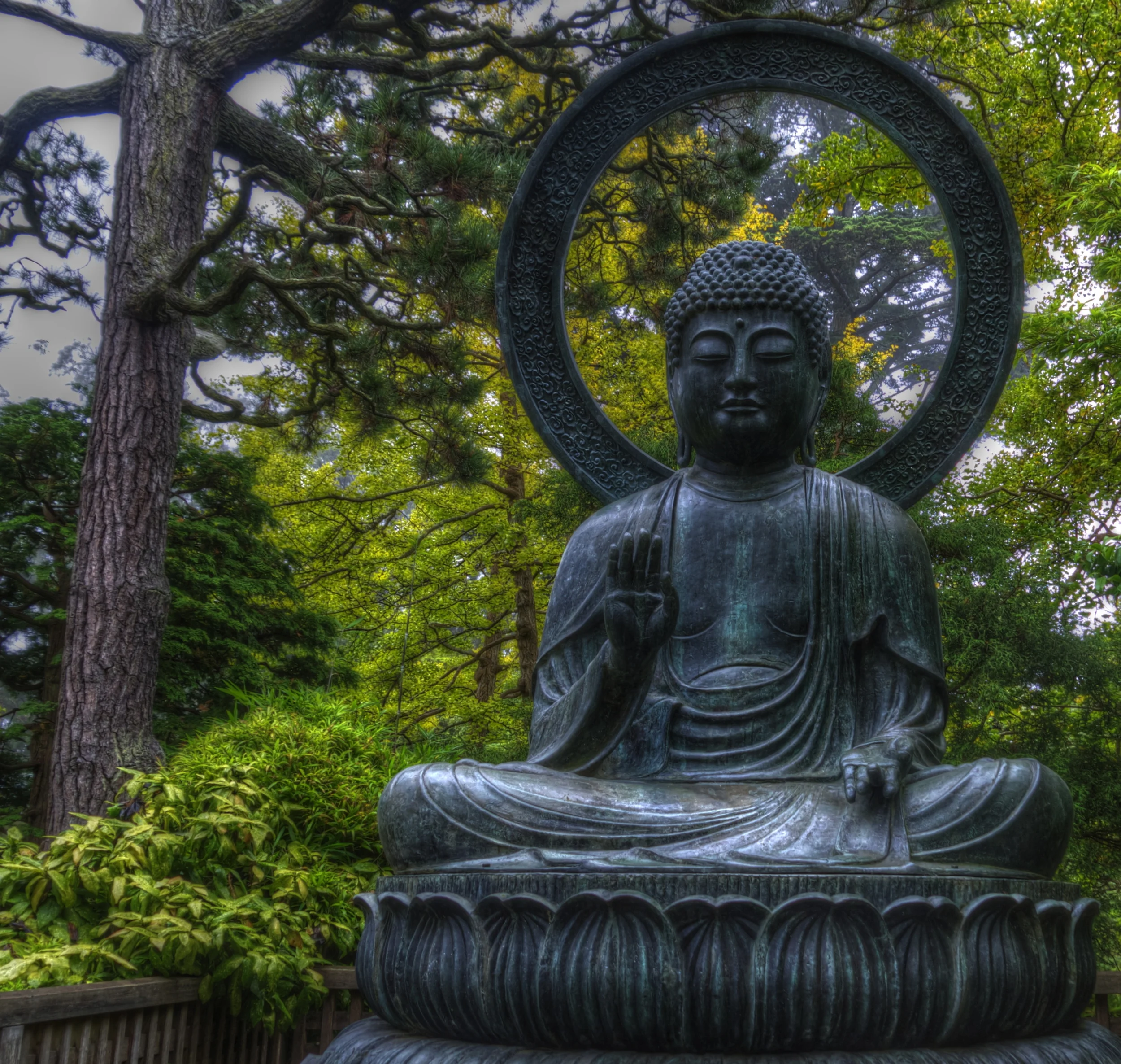 Buddha in the Japanese Tea Garden - September 2012
