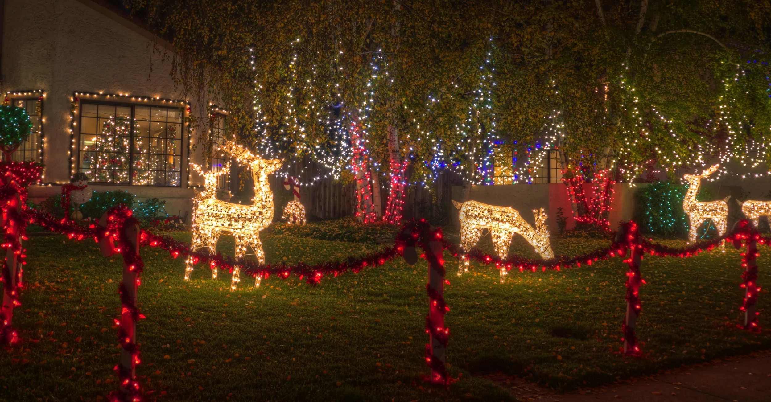 radioactive-reindeer.jpg