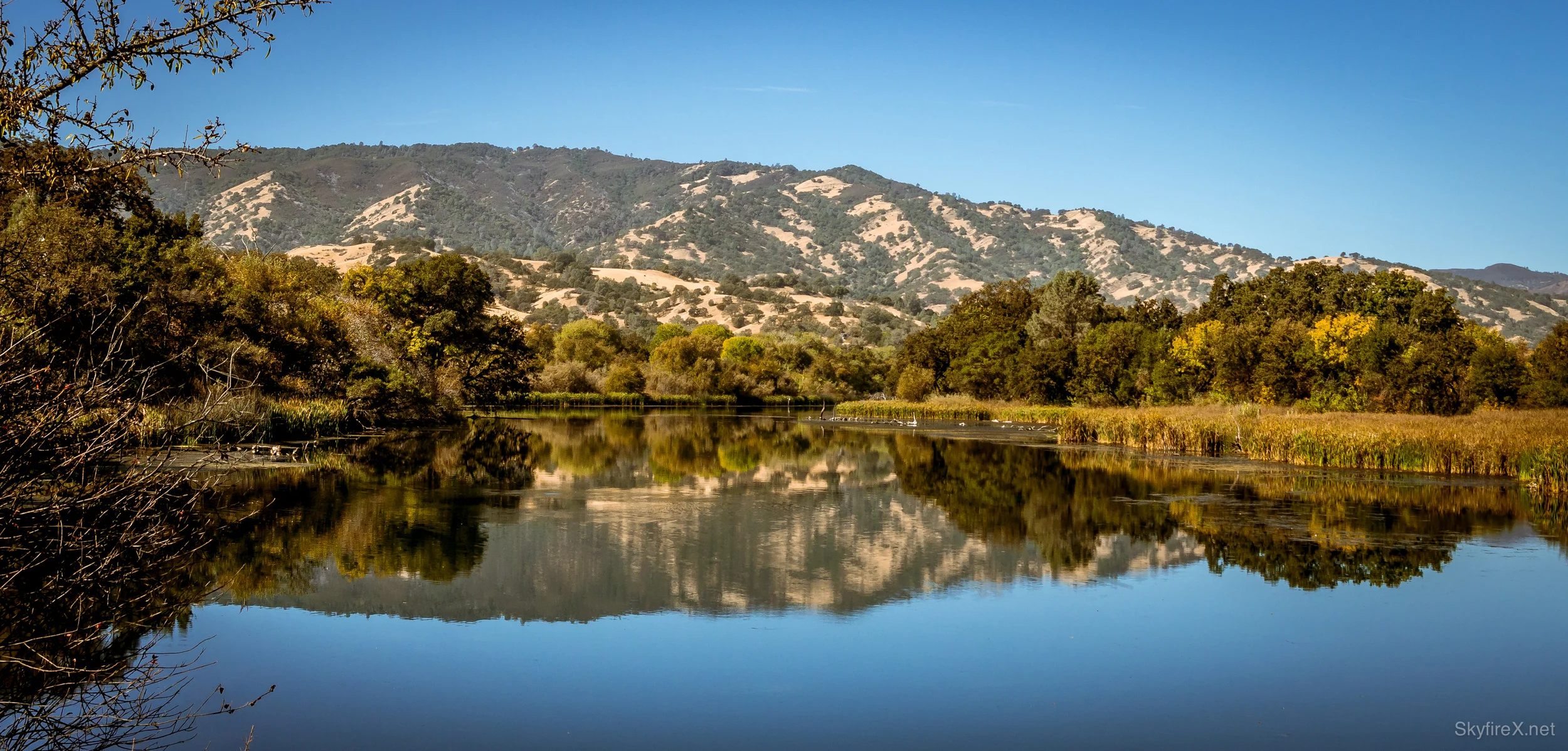 The Stunning Reflections of Lake Solano