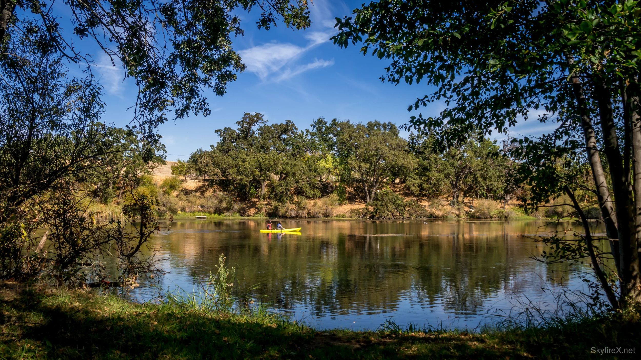 The View From The Bank