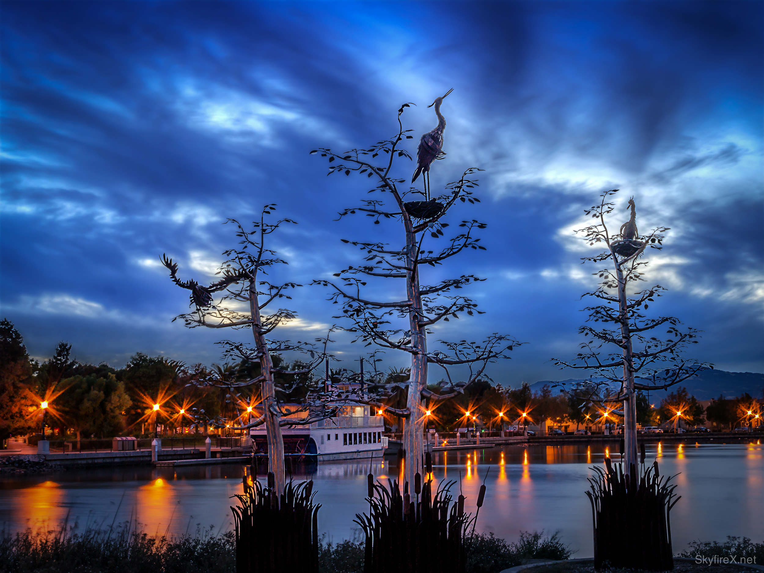 waterfront herons-2.jpg