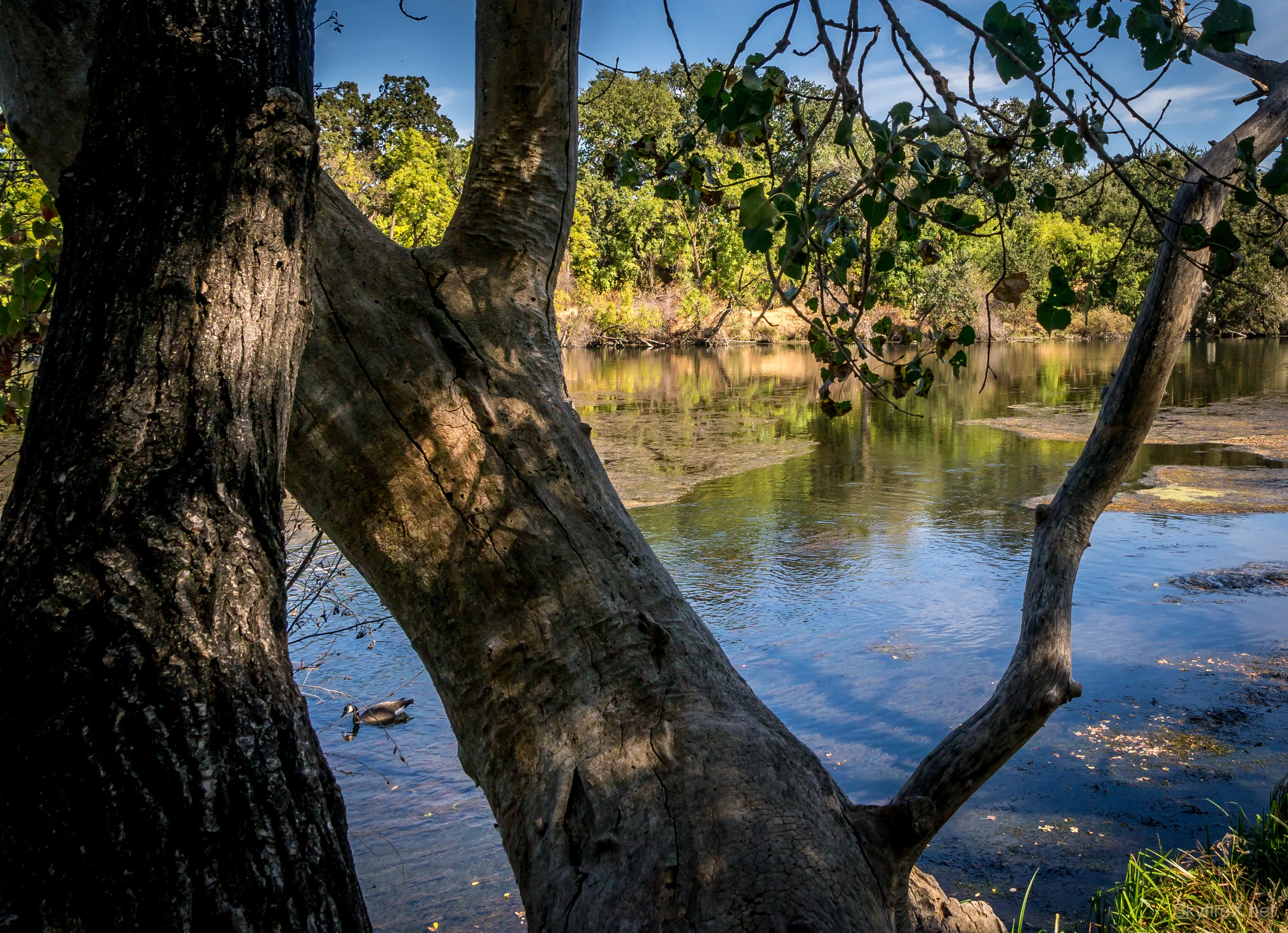 I Spy With My Little Eye...