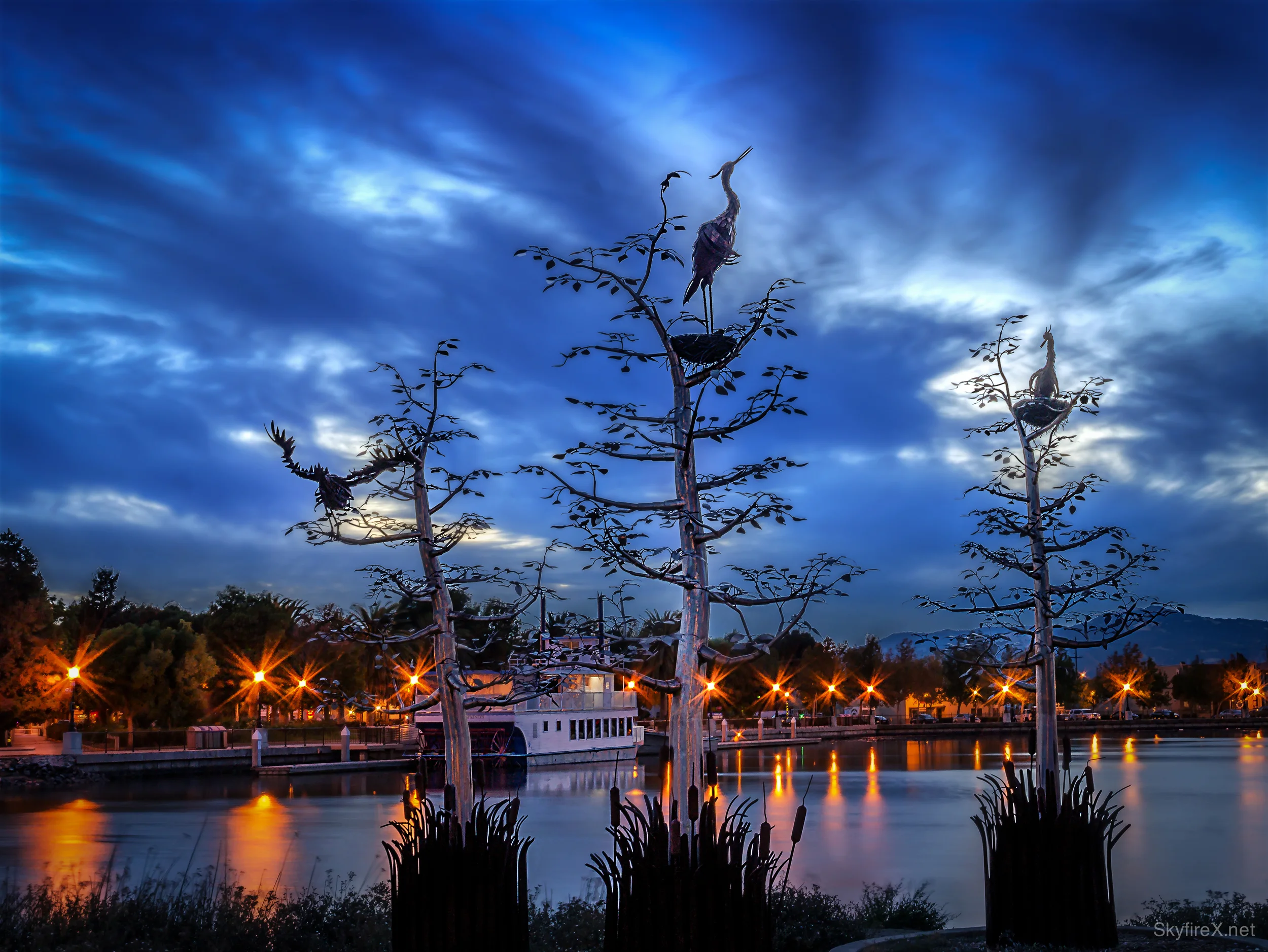 Suisun Waterfront Herons