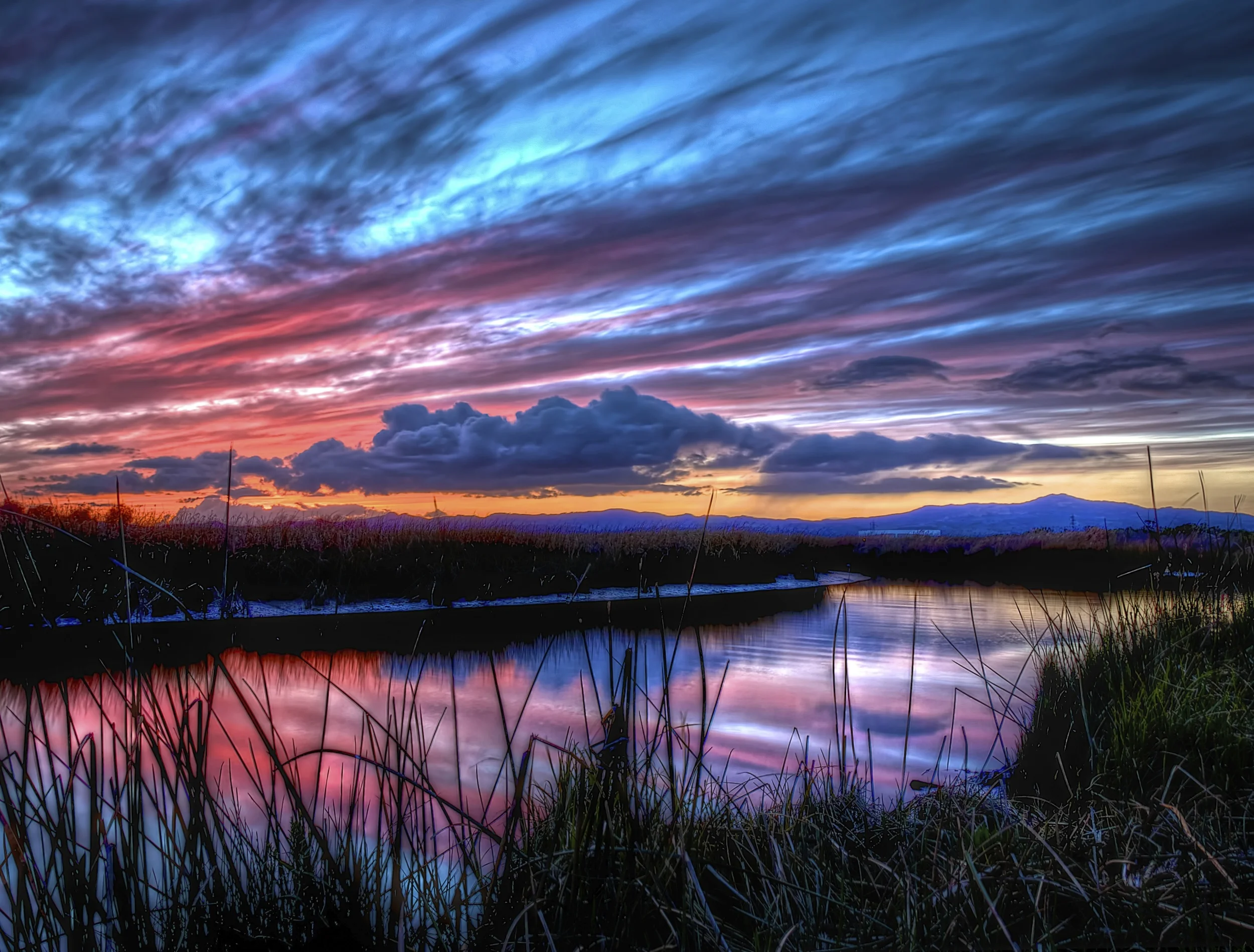 Suisun Marsh
