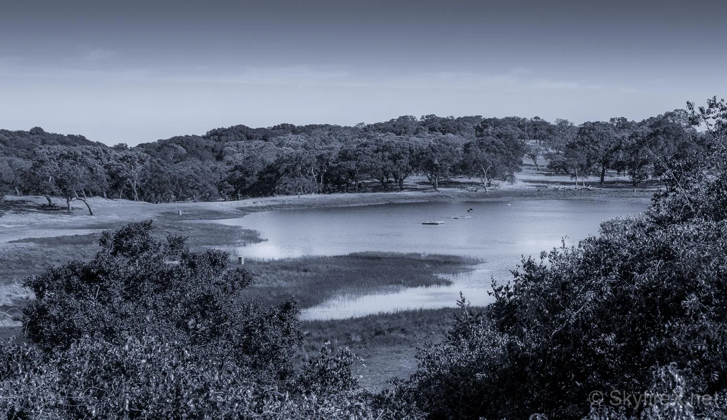 Rockville in Monochrome