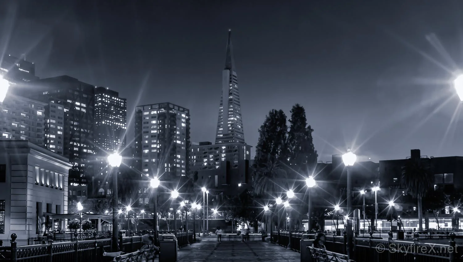 Noir - #TransAmerica from Pier 7 #TreyUSA