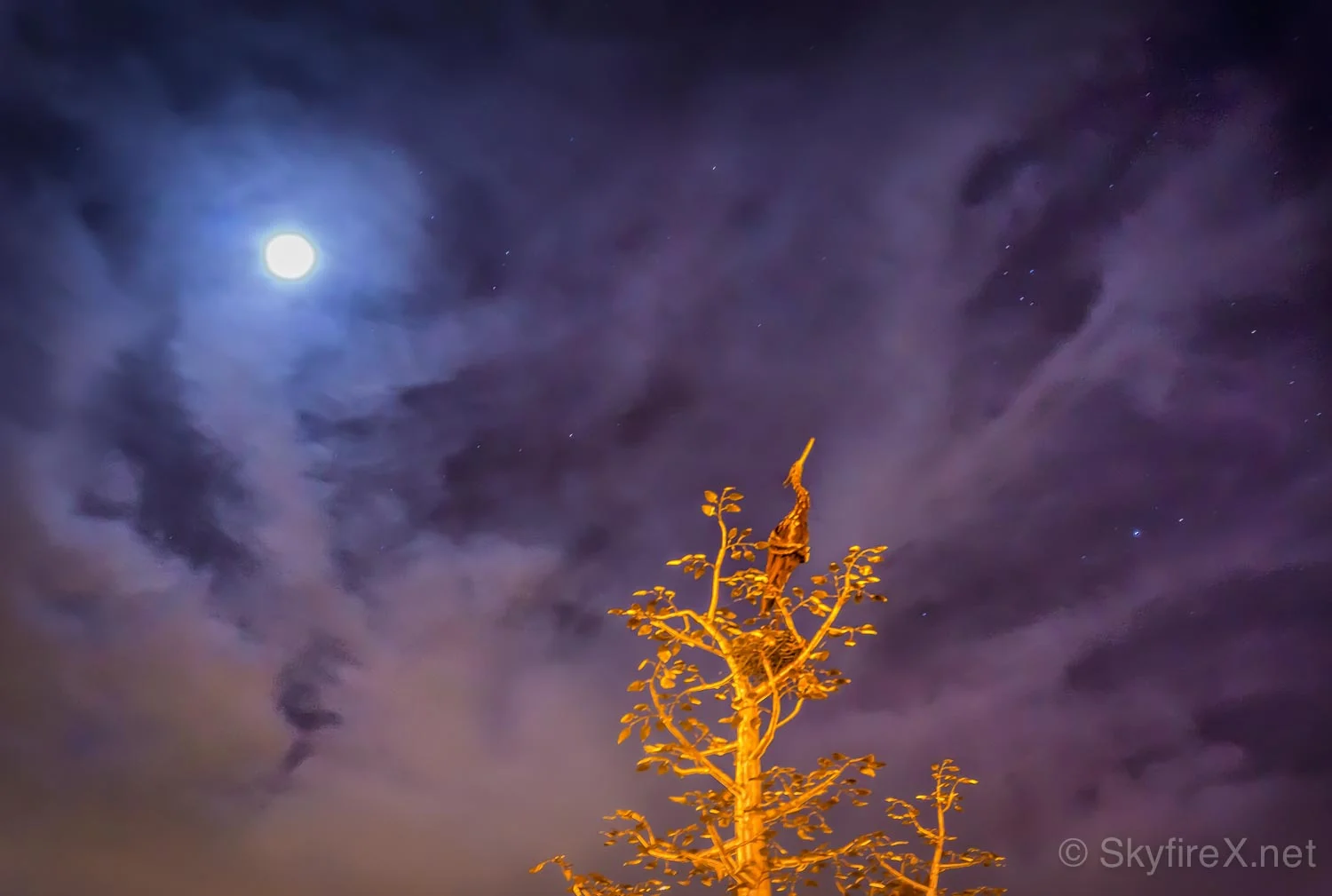 Dreamscapes - First Shots With Sony A6000