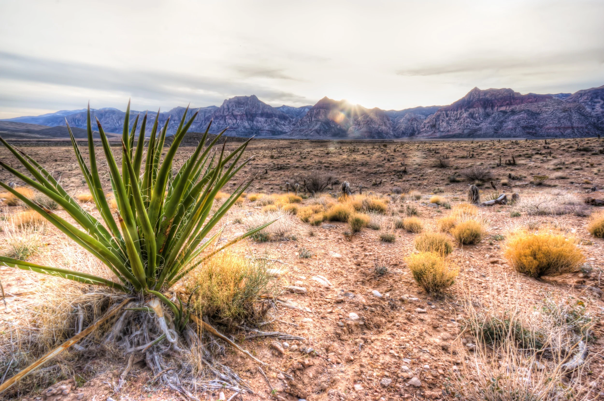 Red Rock Canyon National Park