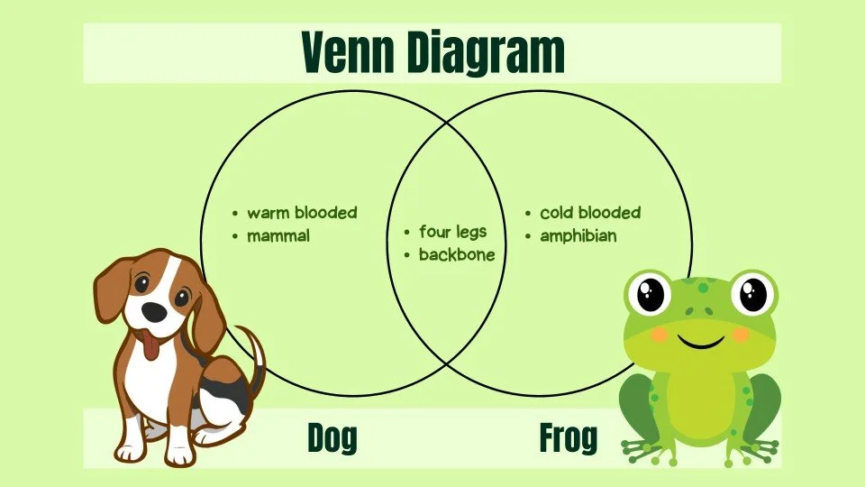 Slide2.JPG
