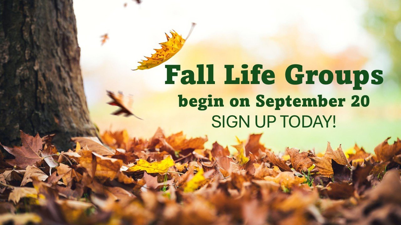 Fall Life Groups - Begin on September 20