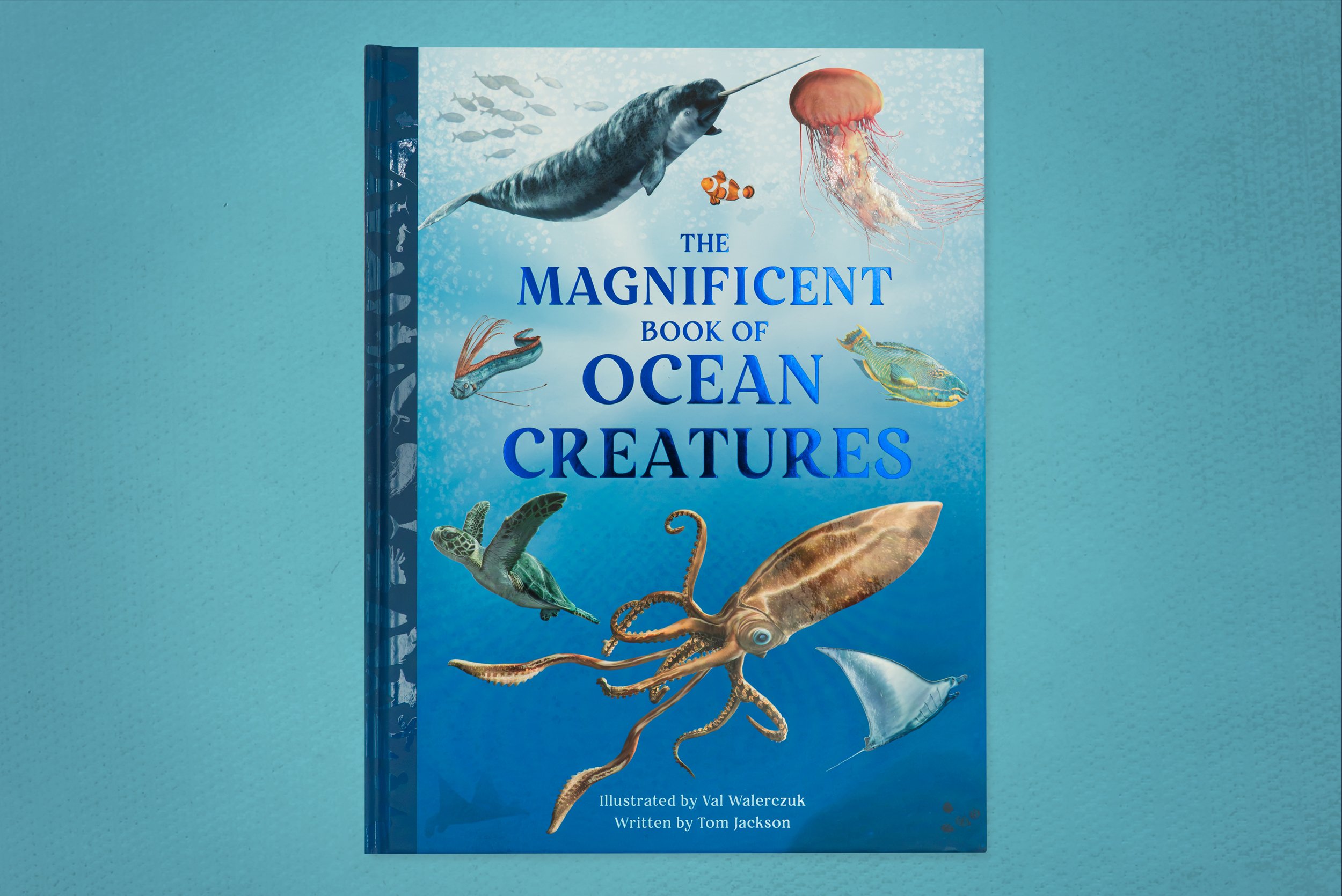 The Magnificent Book of Ocean Creatures cover