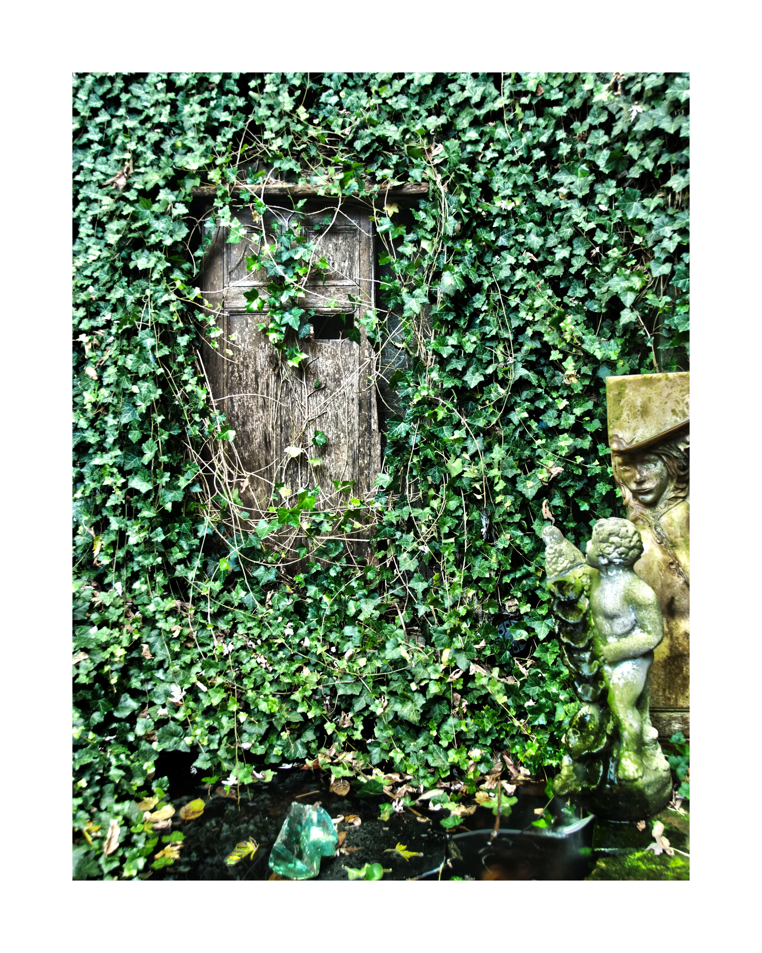 03_Ivy_snow_HDR2.jpg