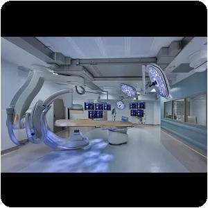 Hybrid-OR-Philips-FlexMove- Skytron-Booms-and-Surgical-LED-Lights.jpg