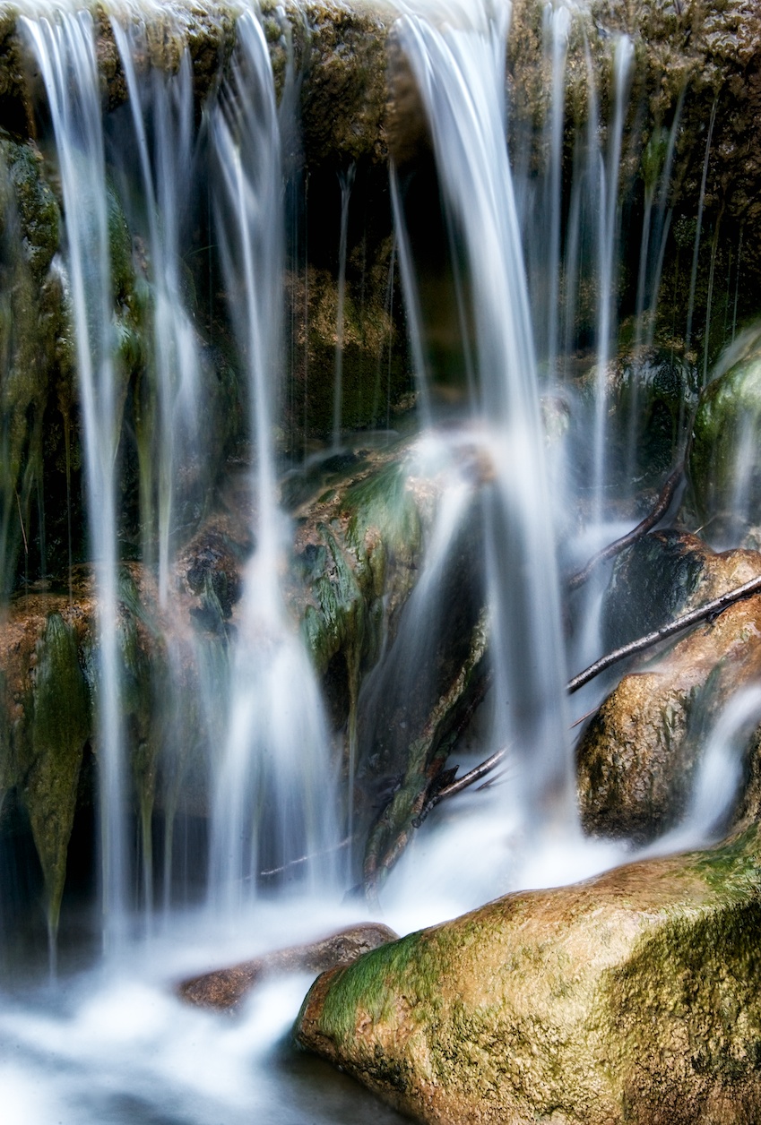 BullCreekcloseup4.jpg