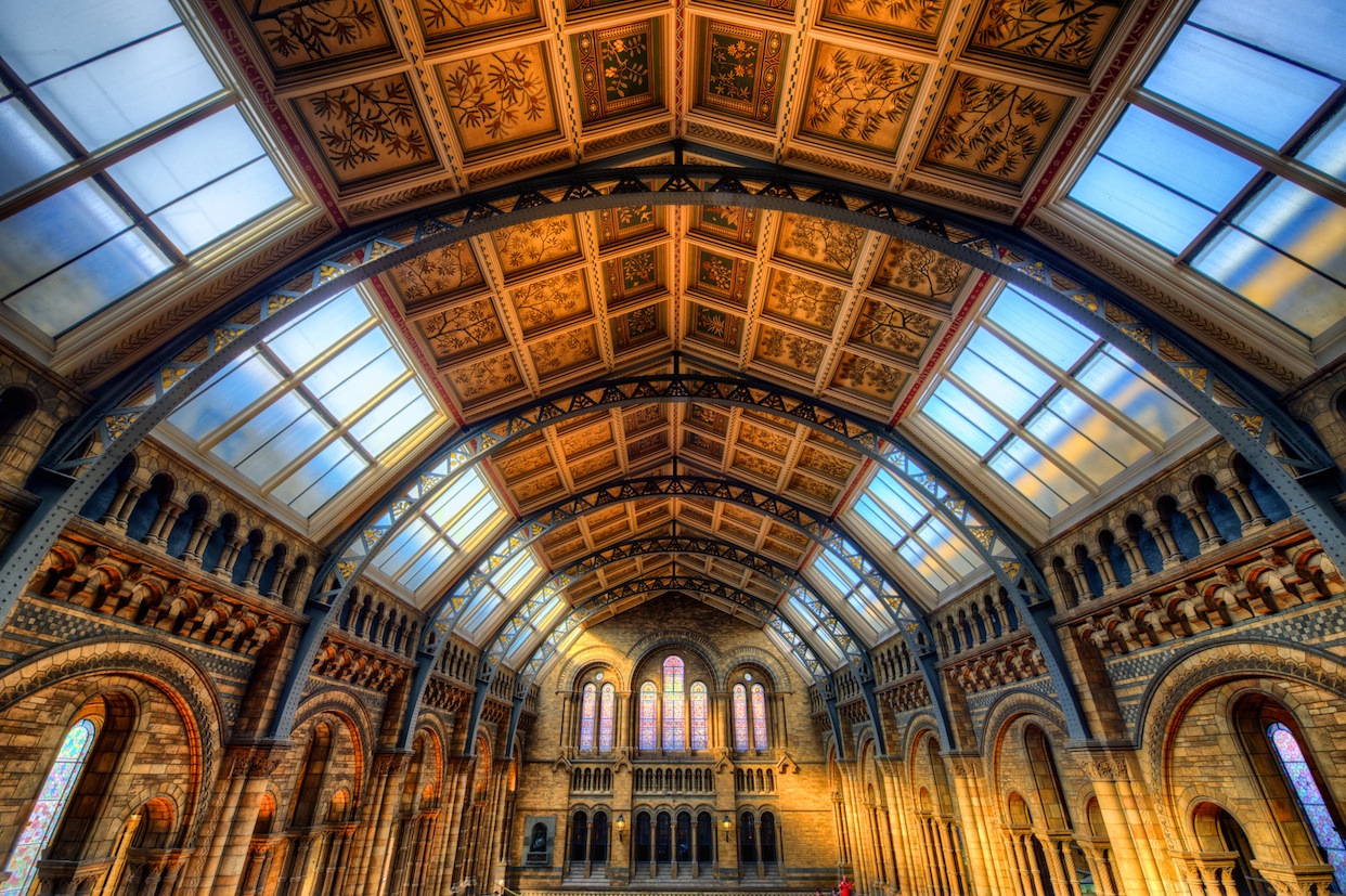 NaturalHistoryLondonceiling.jpg