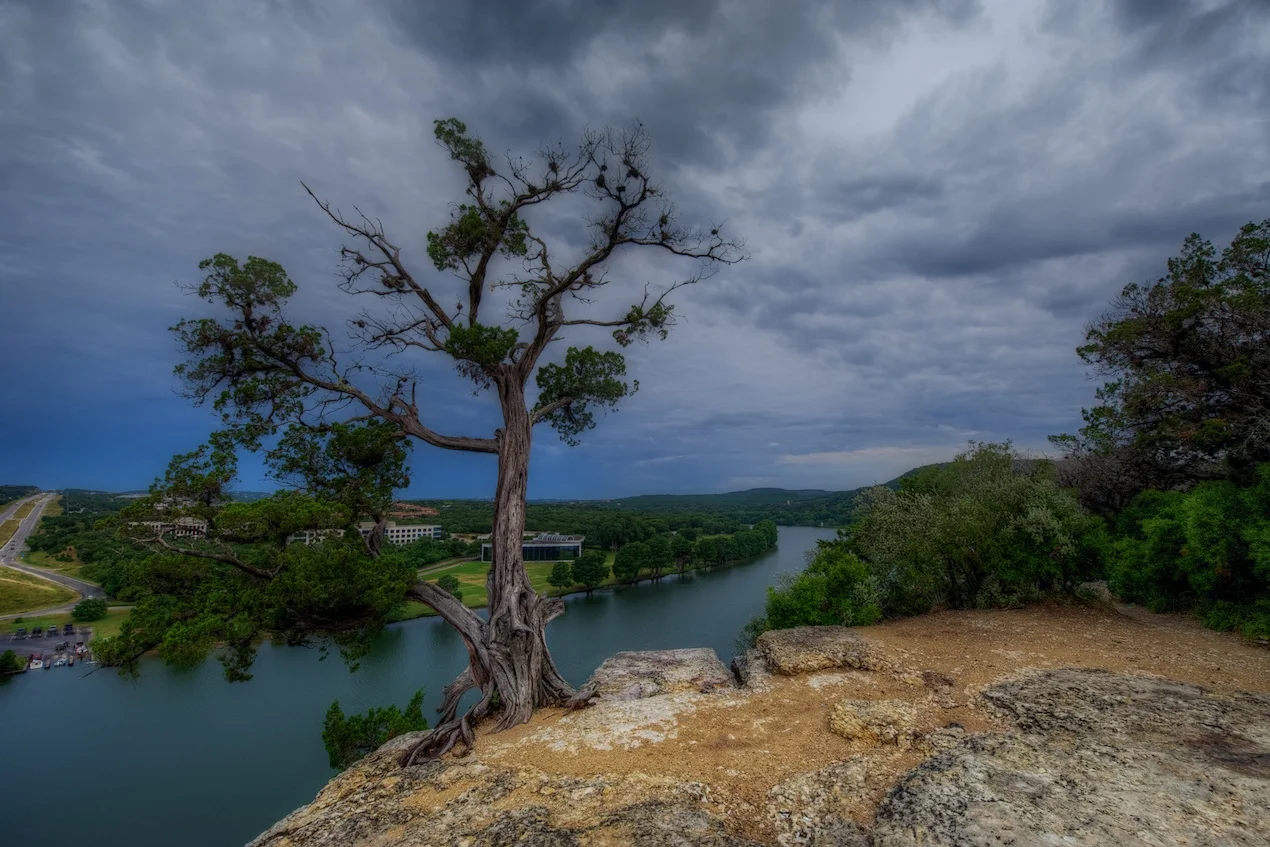 Loop360Bridgetreemorningclouds.jpg