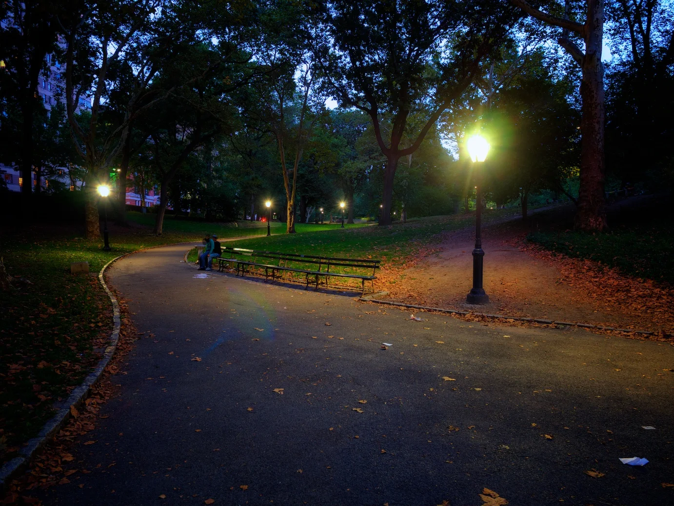 After Dark In Central Park Jim Nix