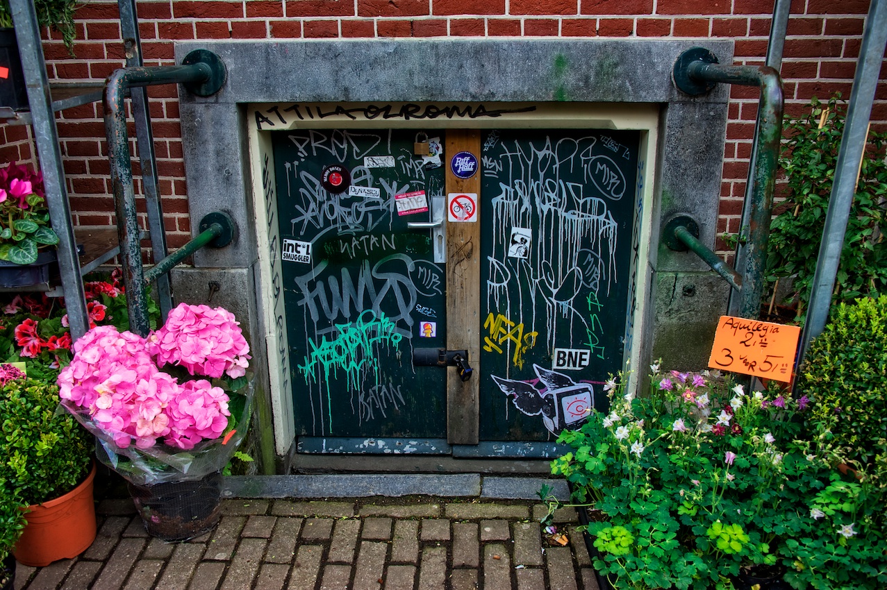 Flowers in front of a door that doesn't seem to go anywhere.