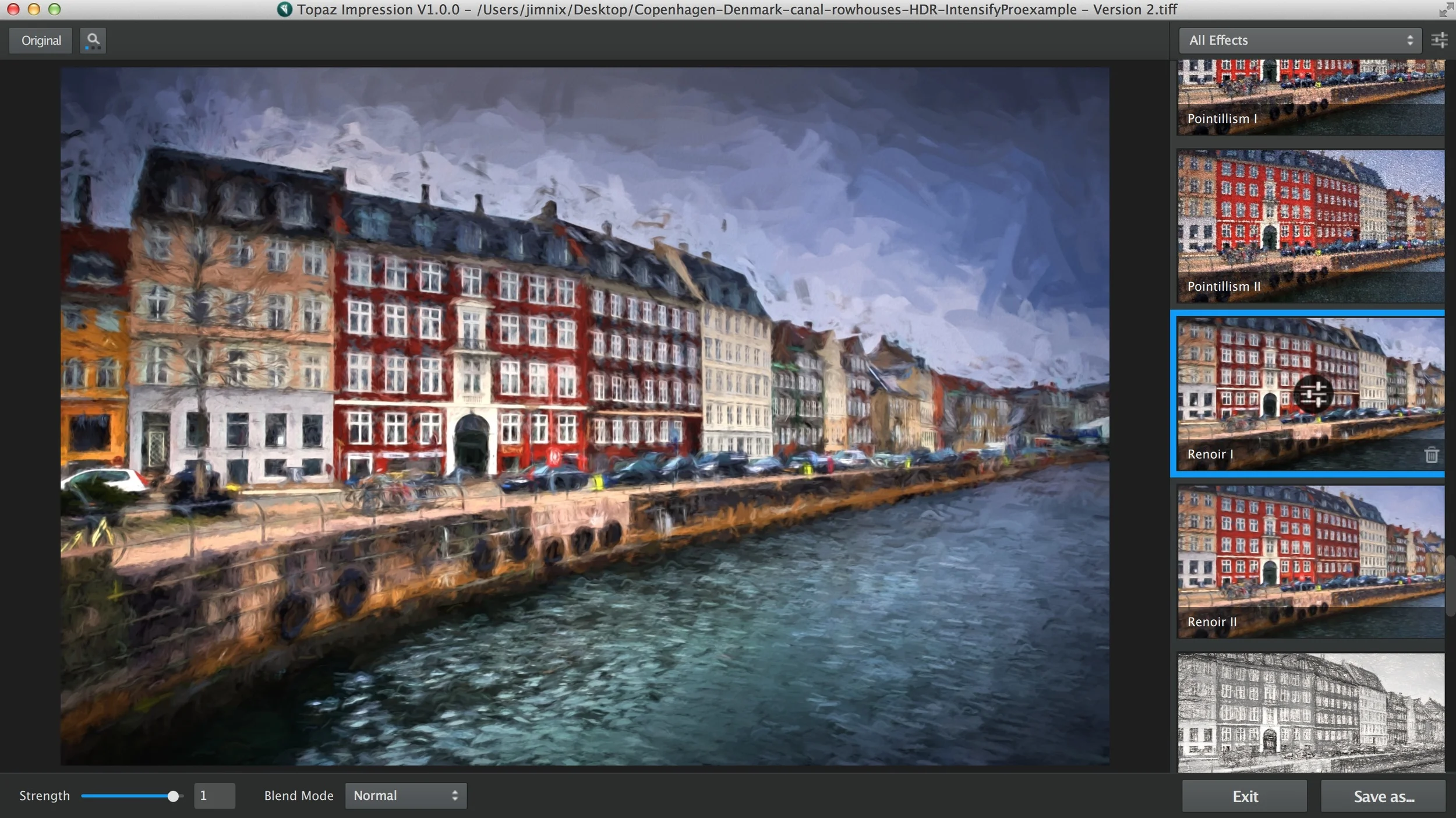 Renoir I