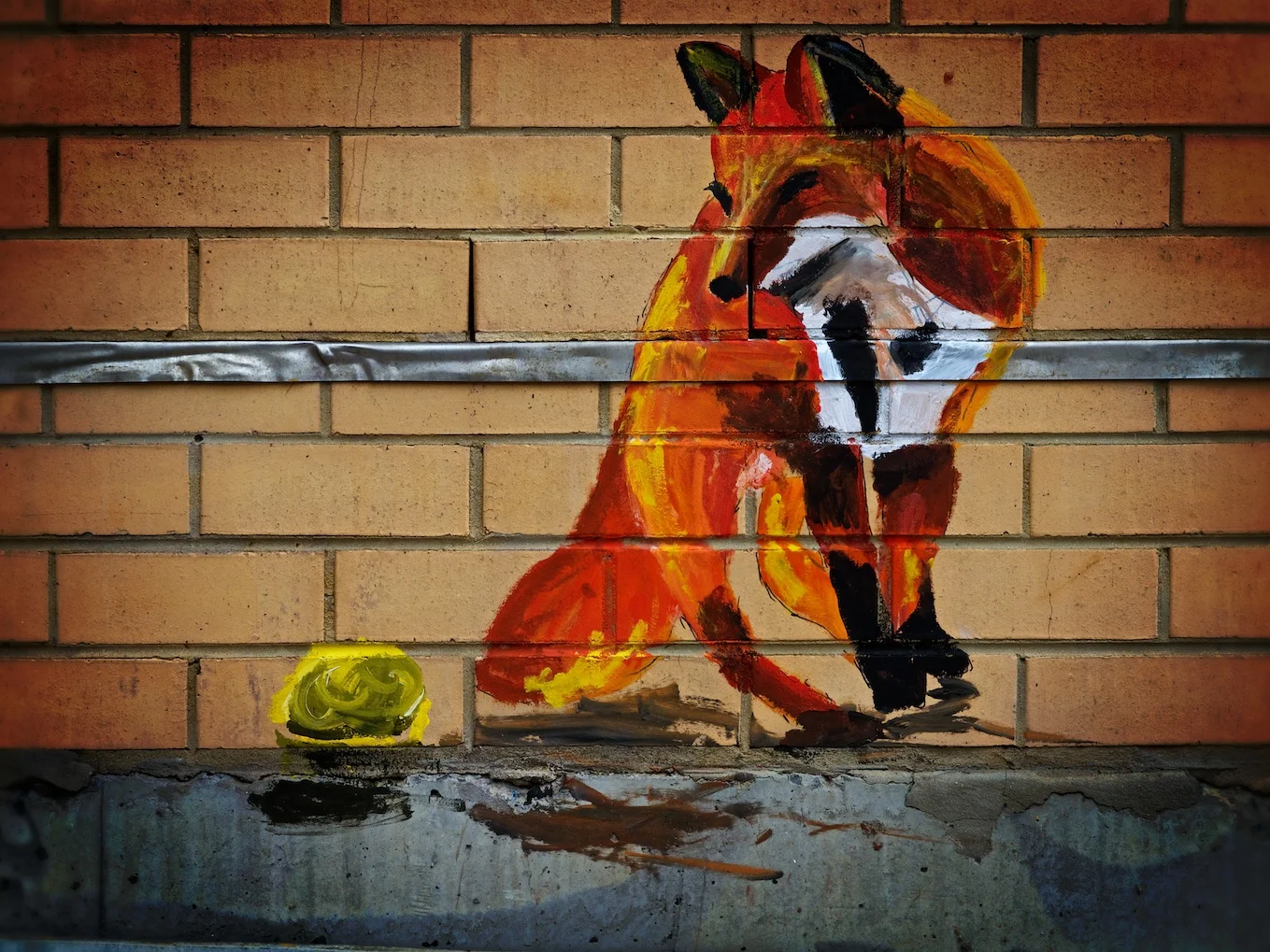 Sydney-Australia-graffti-fox.jpg