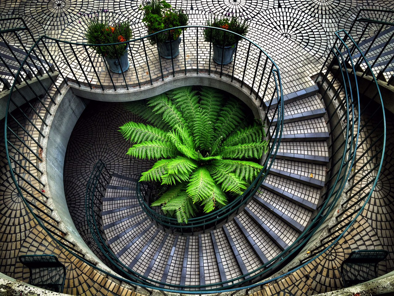 i found a lot of stairs to shoot on this trip! these were in the embarcadero center somewhere. I was just wandering and looked down - click!