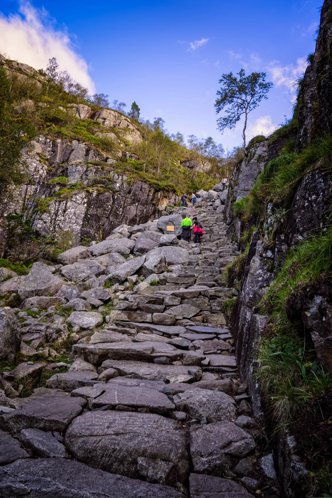 see what I mean? that is a serious climb!