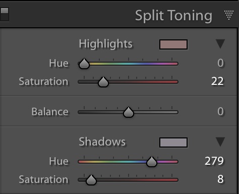 this is the split toning panel for this image
